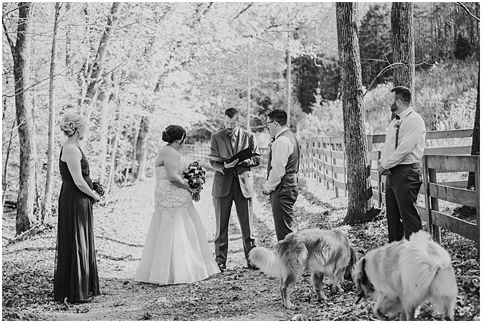 leipers-fork-airbnb-elopement_0068
