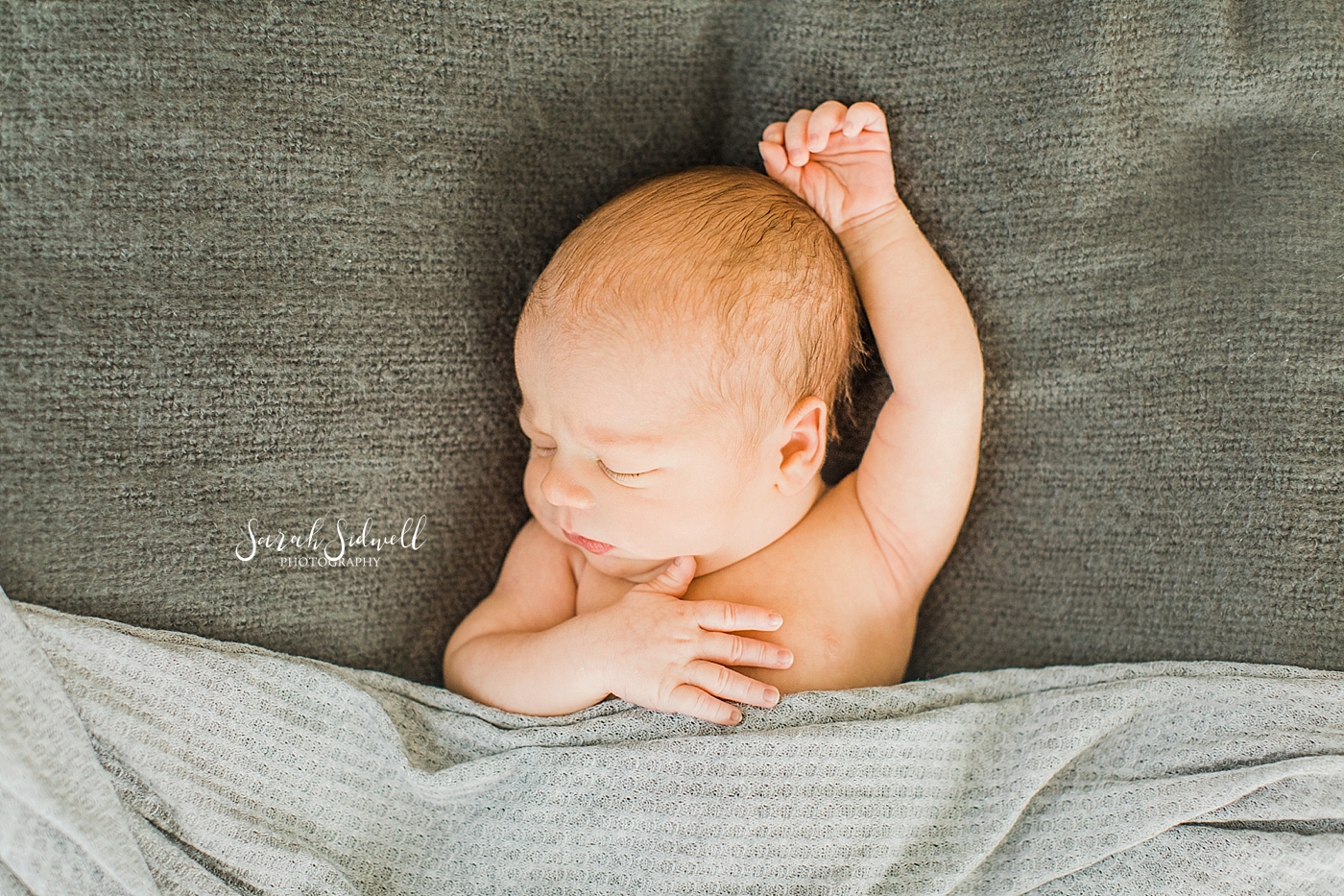 A new baby sleeps  | Sarah Sidwell Photography | Newborn Love