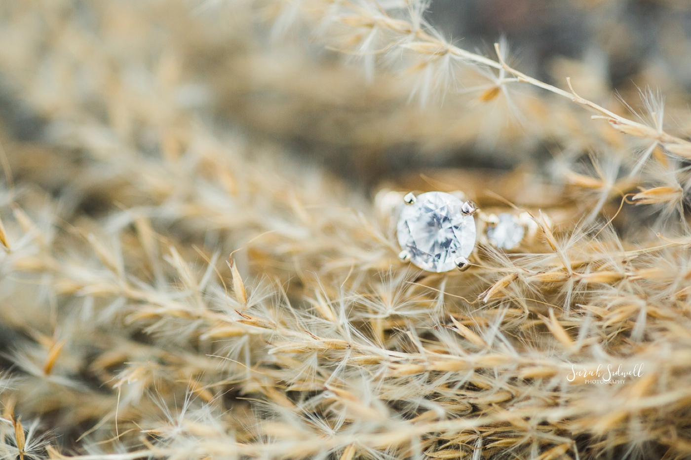 An engagement ring lays in a field. 