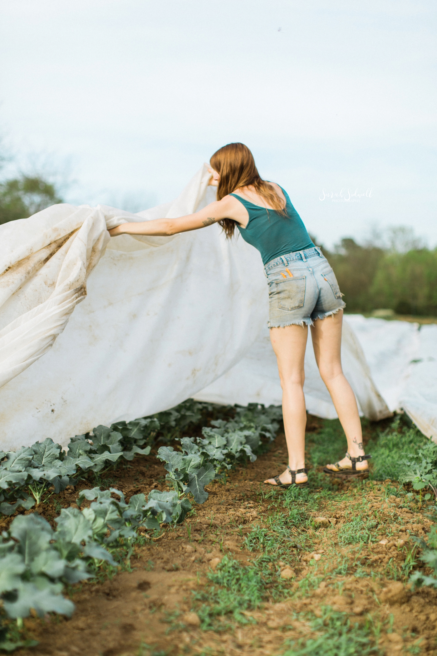 A woman covers a garden with a sheet. 