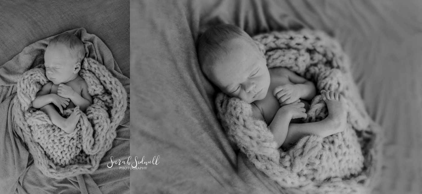 A newborn naps | Newborn Photography Nashville