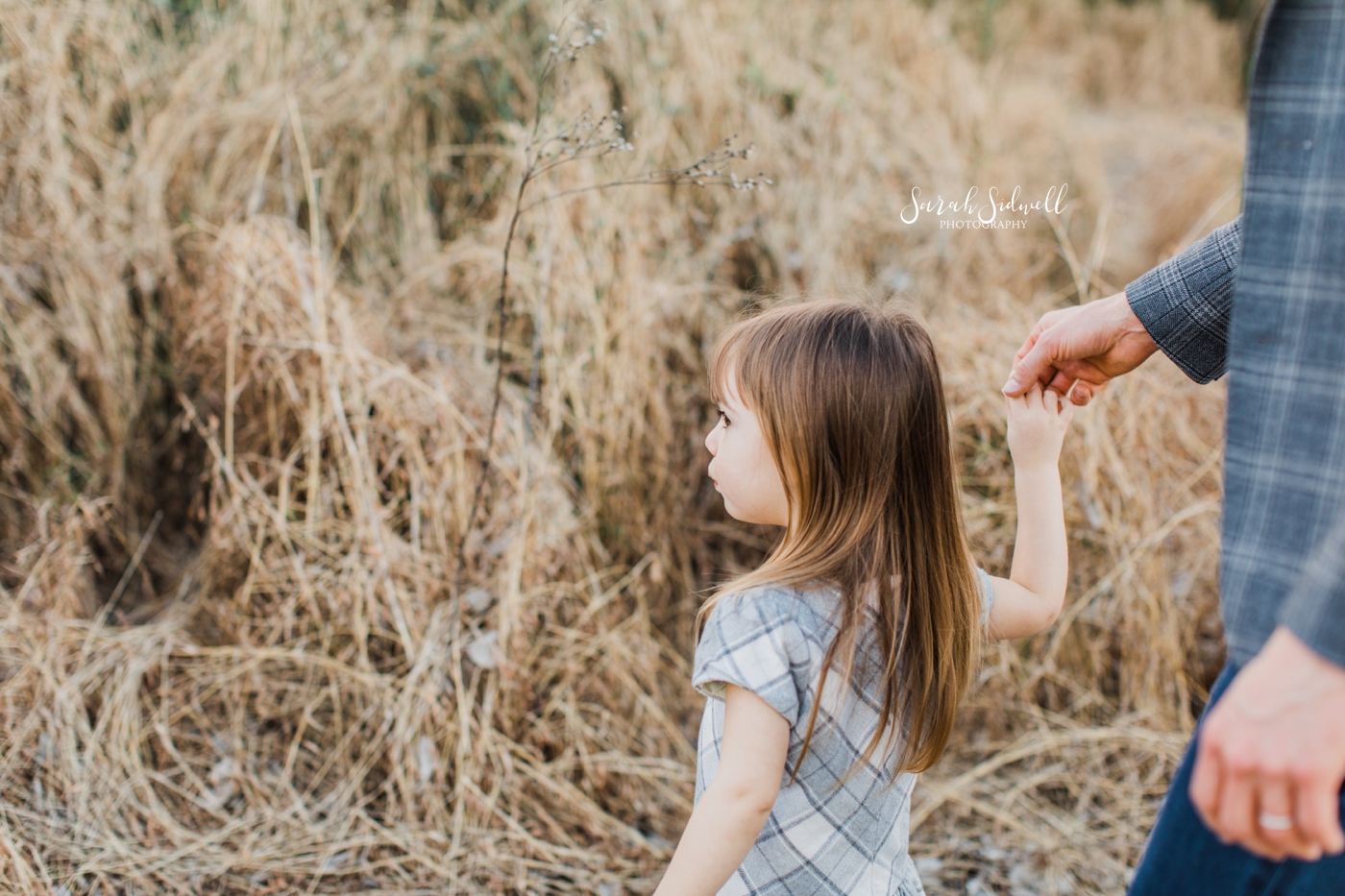 A girl holds her dad's hand. 