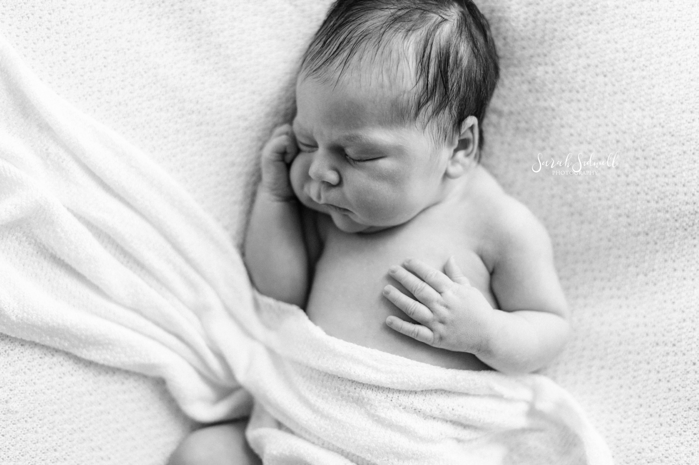 A baby sleeps peacefully | Nashville Newborn Photographer