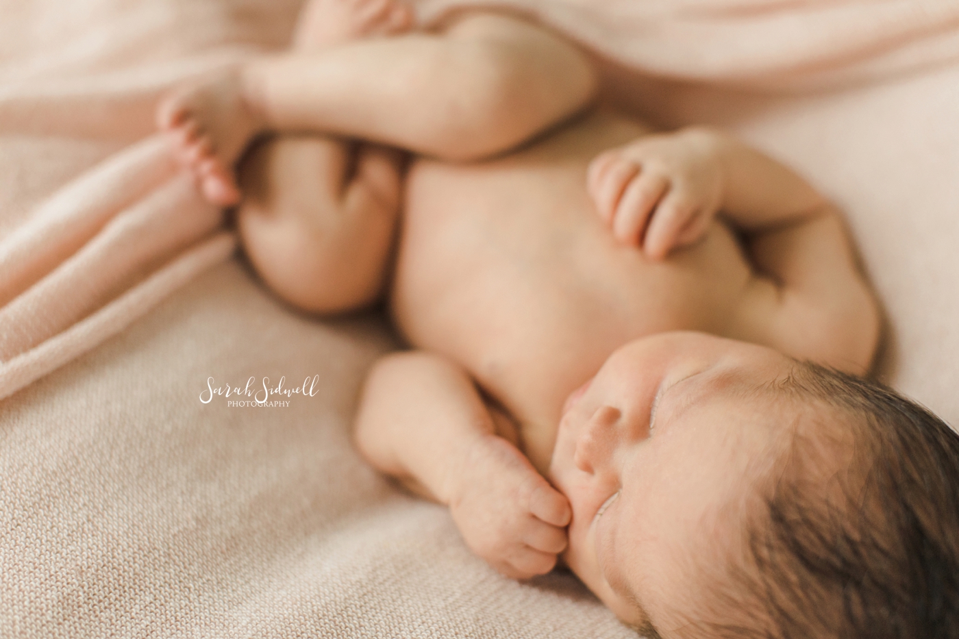A newborn sleeps | Nashville Newborn Photographer