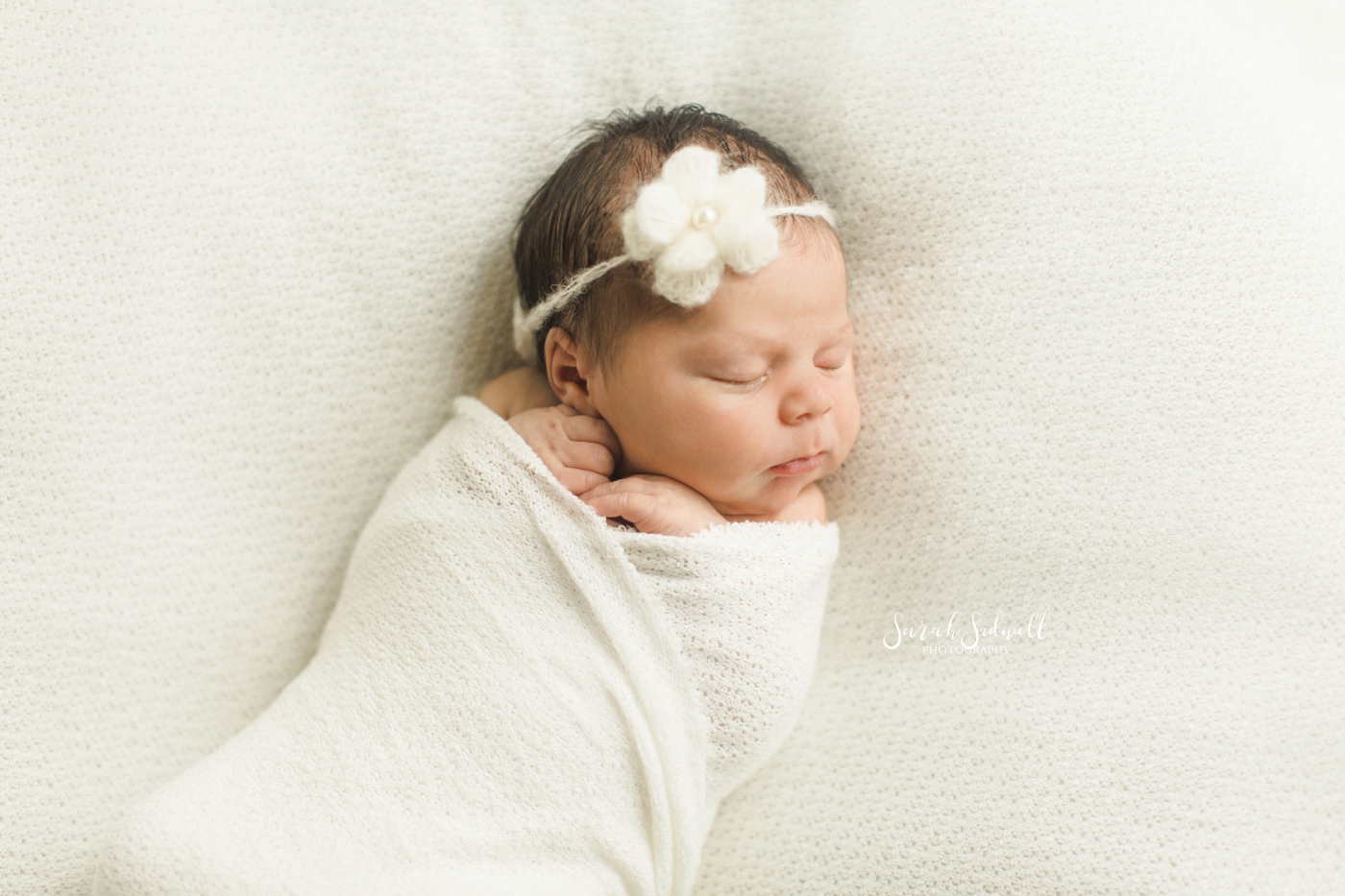 A newborn wears a flower headband. 