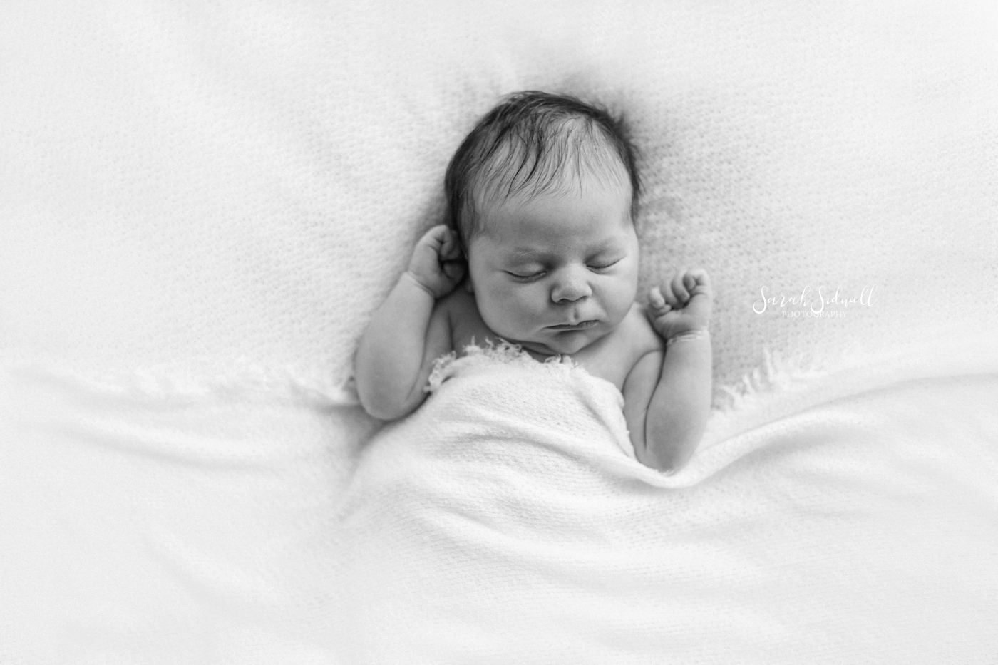 A newborn naps peacefully | Nashville Newborn Photographer
