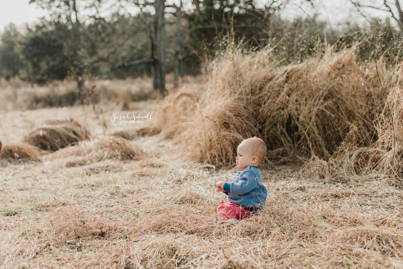 A toddler sits in a field with dead grass all around him. 