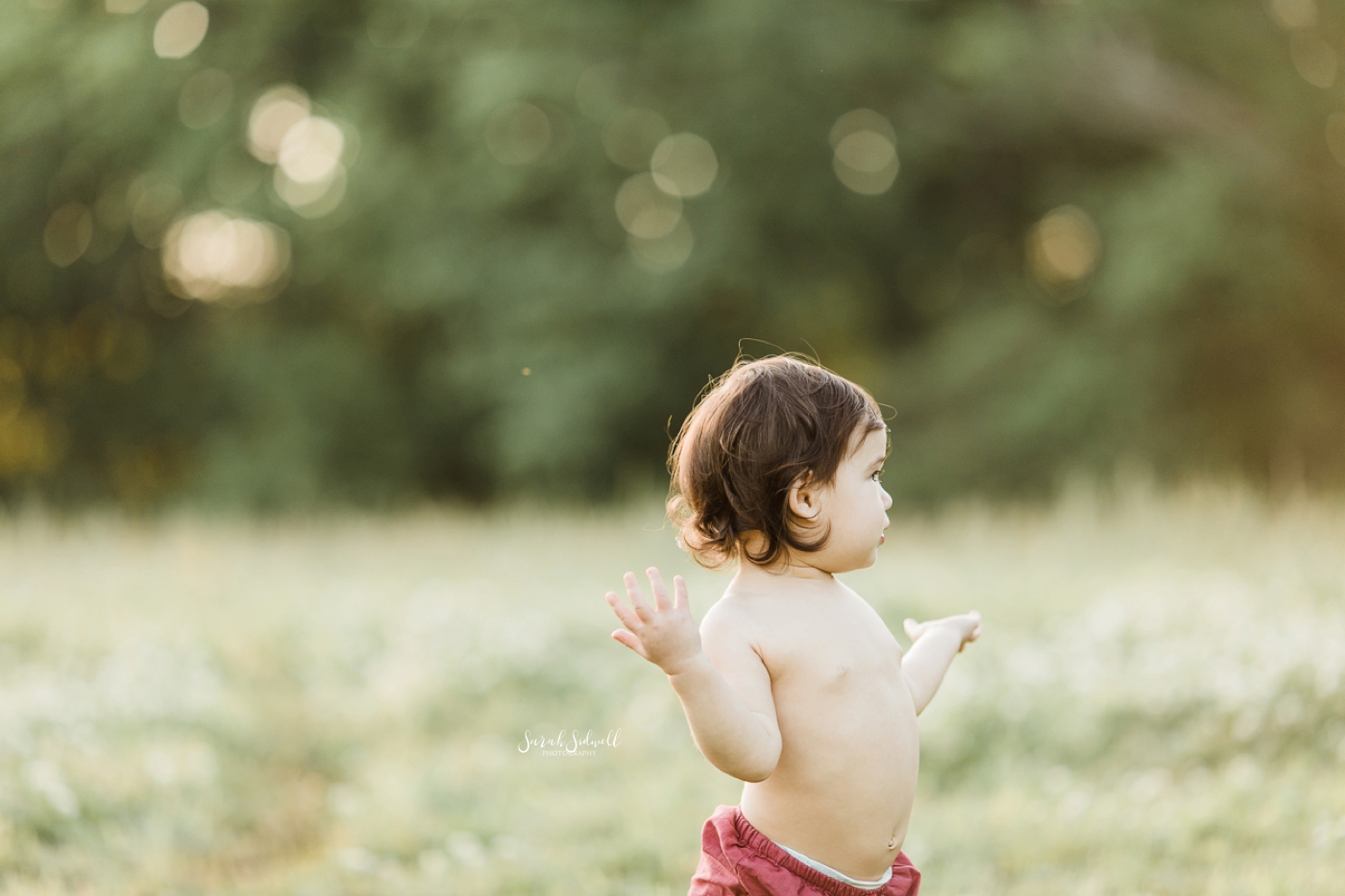 A baby wearing only bloomers walks through a grassy field. 