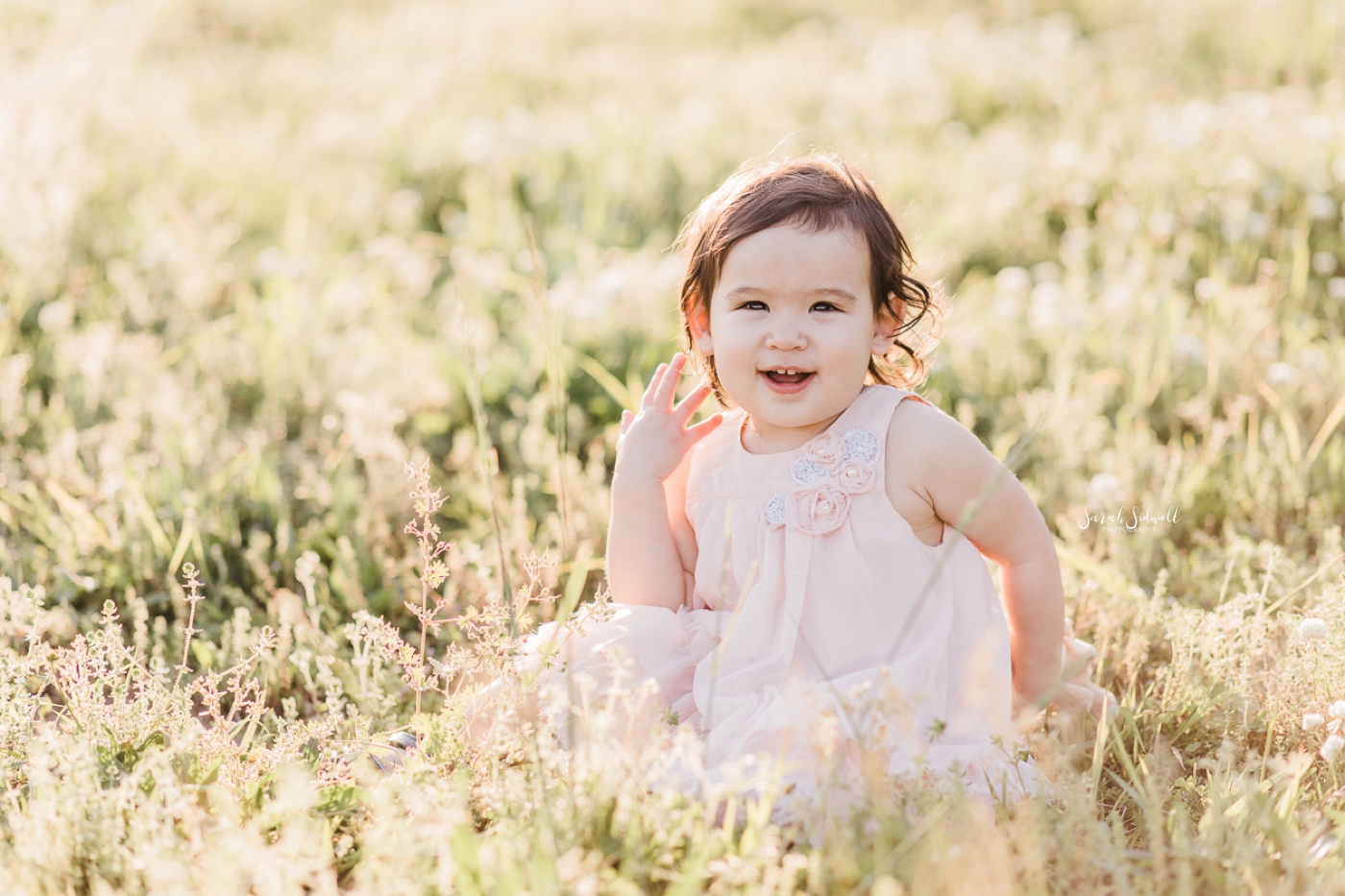 A toddler wearing a pink dress sits in a field of flowers and grass. 