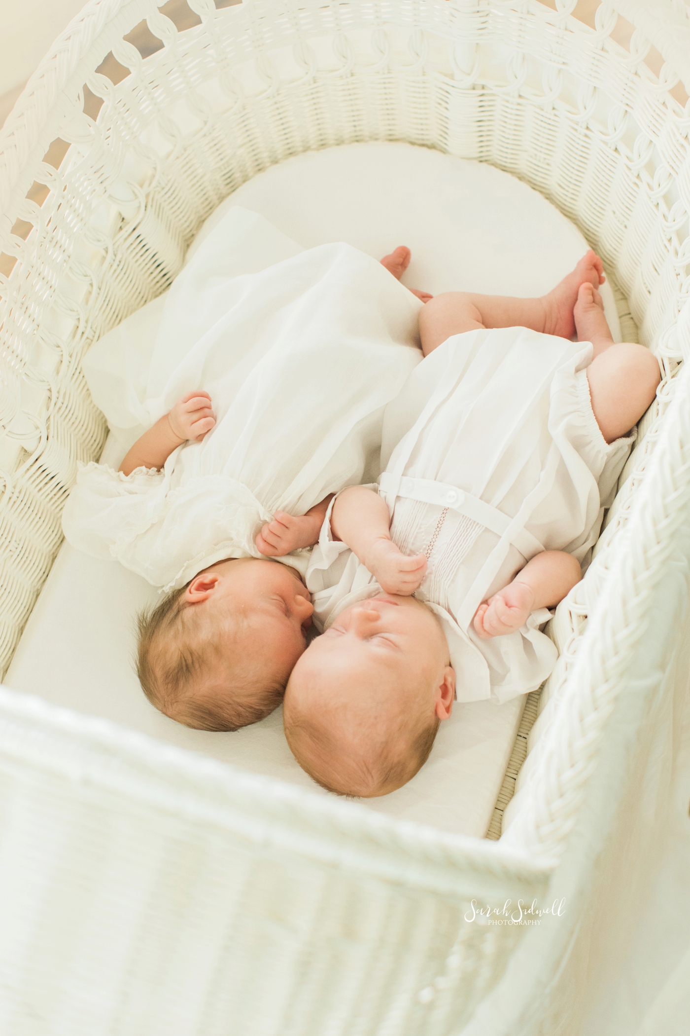 Babies sleep during their Newborn Twin Session. 