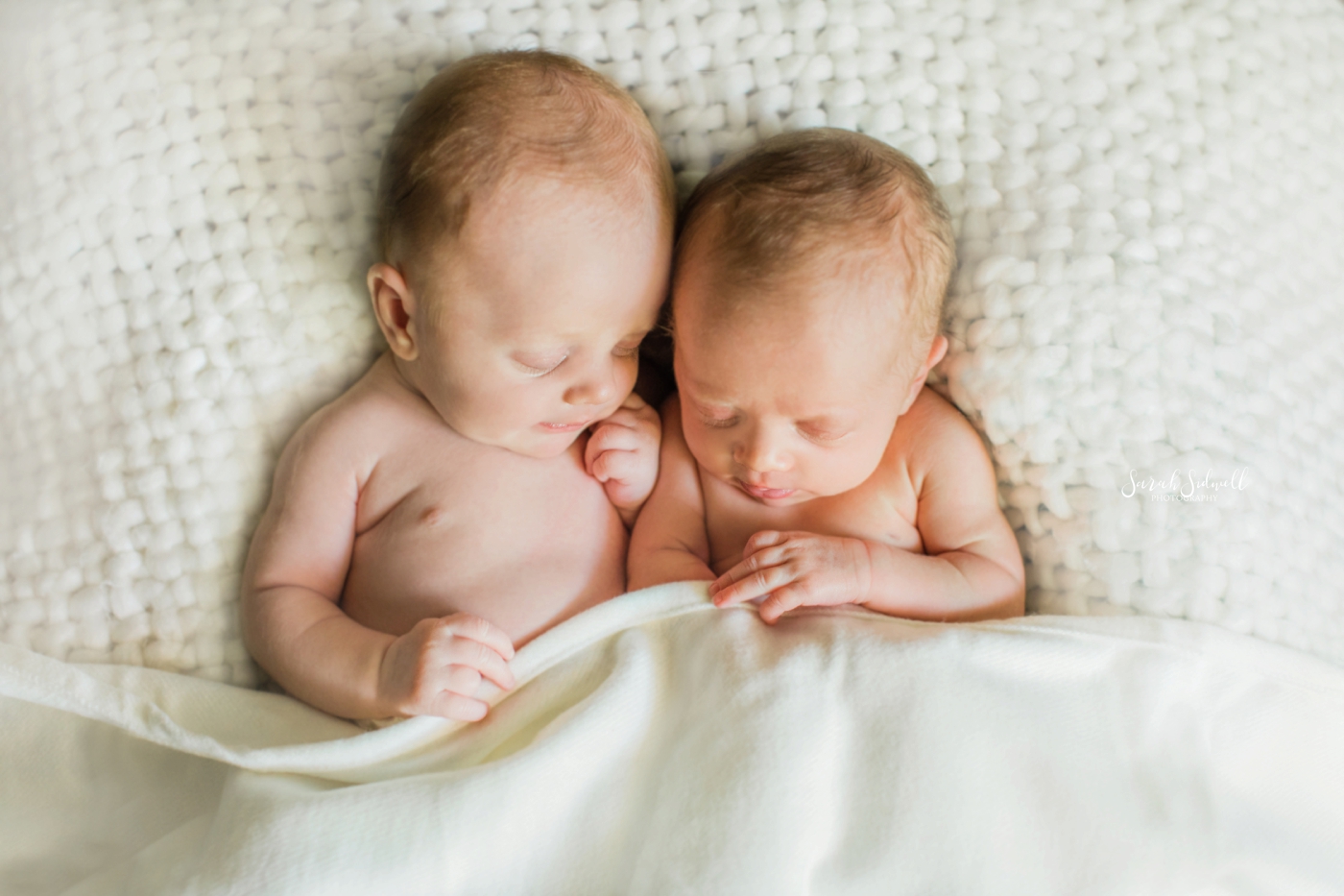 Newborn Twin Session | Sarah Sidwell Photography