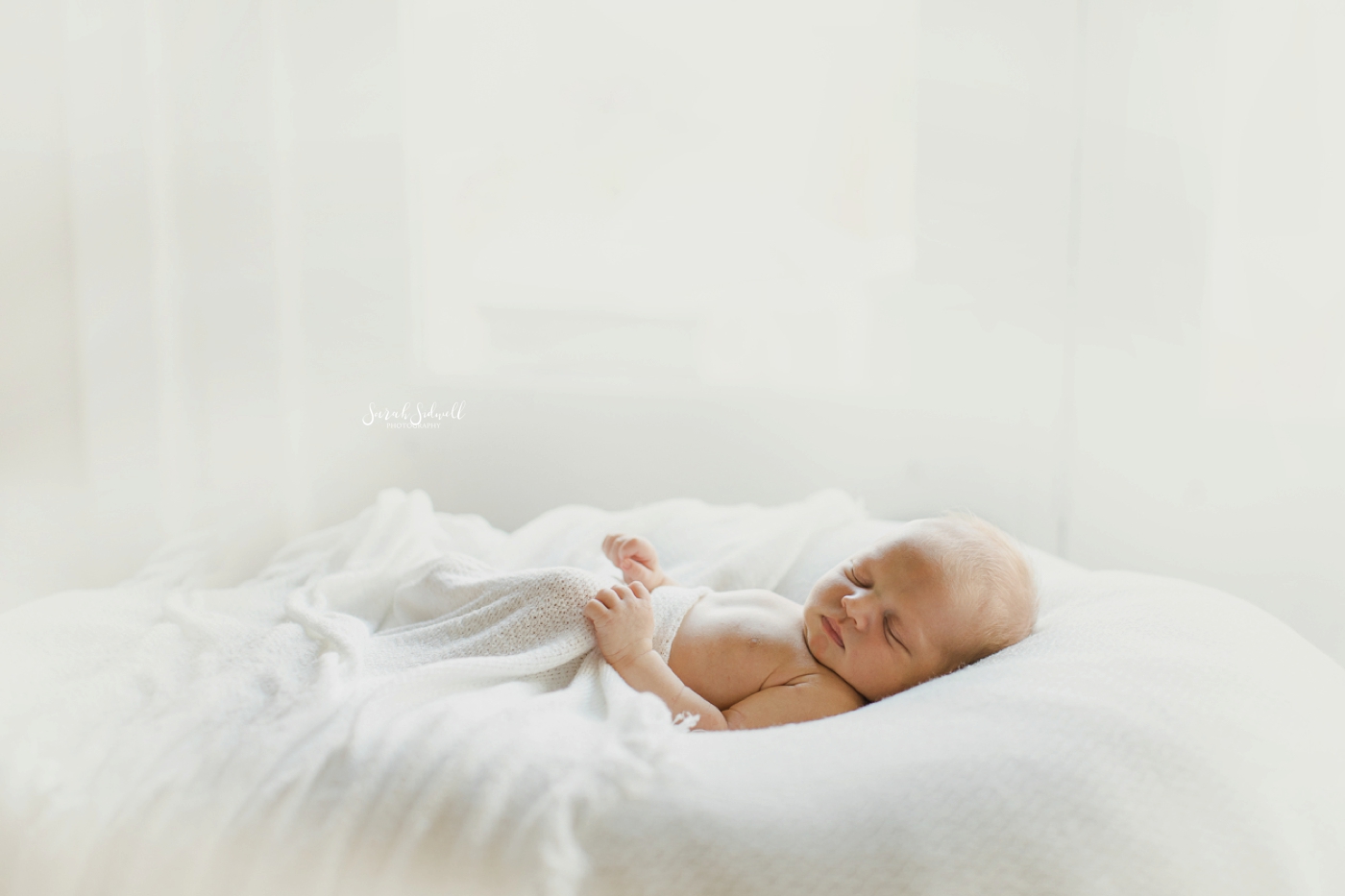A newborn baby naps during his newborn family photos. 