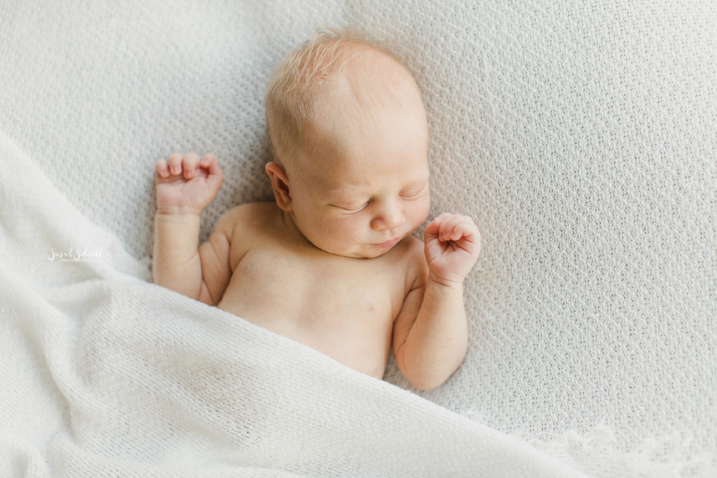 A baby sleeps peacefully during his newborn family photos. 