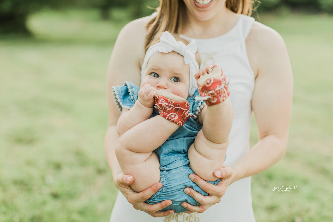 6 month baby pictures | Sarah Sidwell Photography