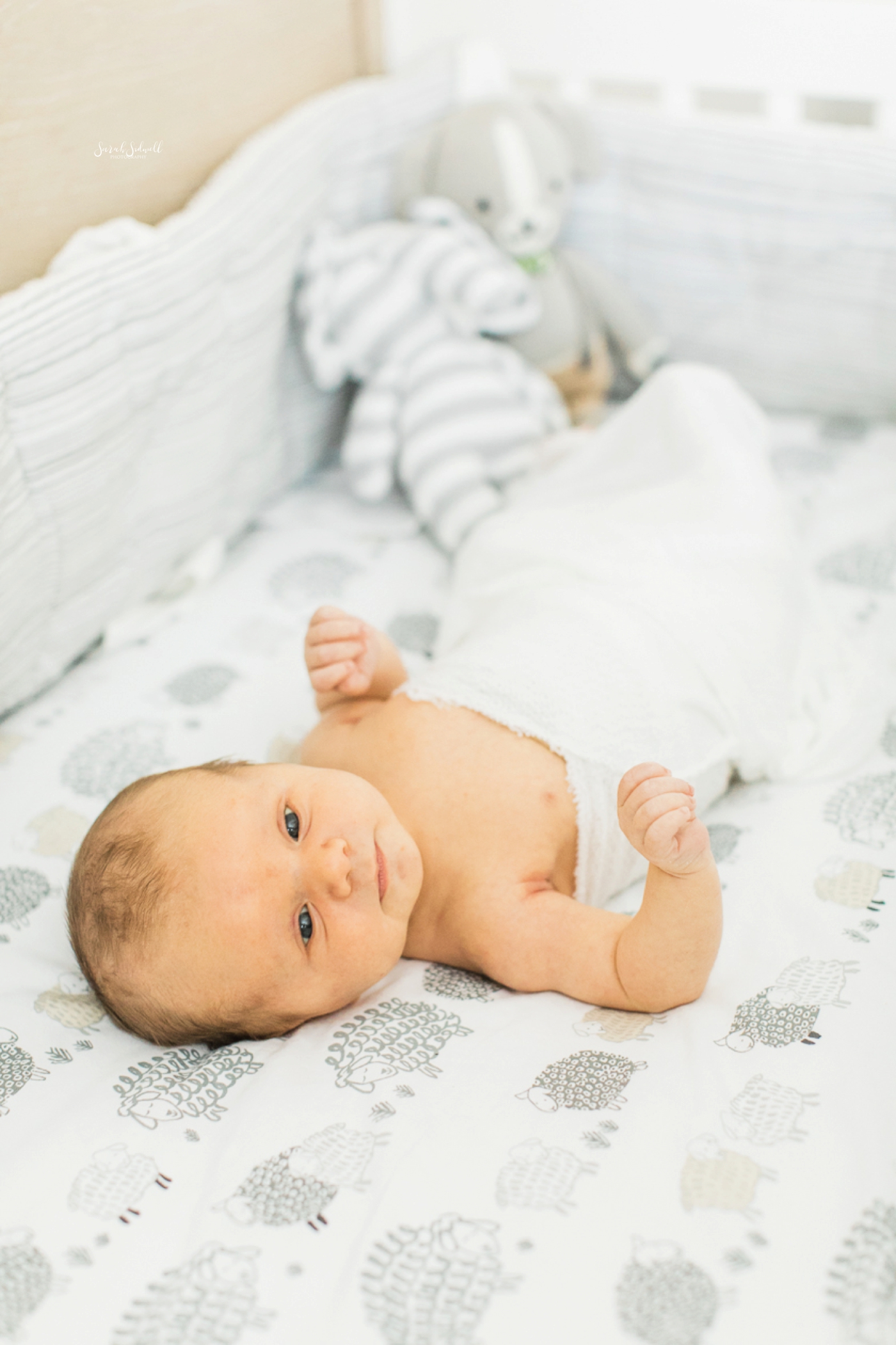Newborn Pictures in Nashville | Sarah Sidwell Photography