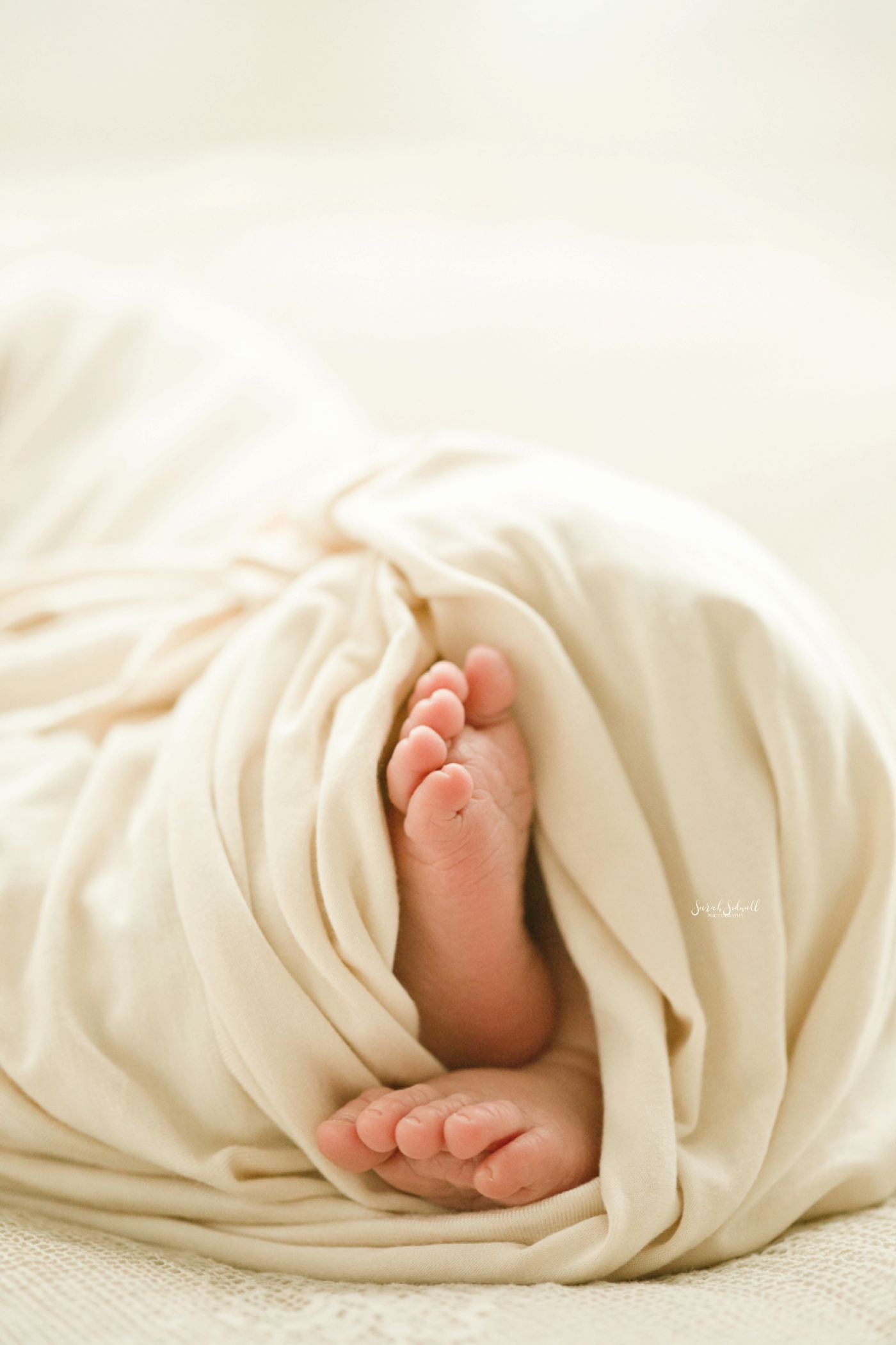 Natural Newborn Session | Sarah Sidwell Photography