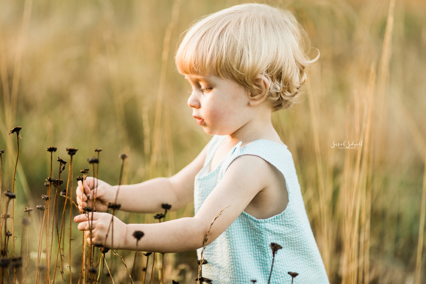 Sibling Session | Sarah Sidwell Photography