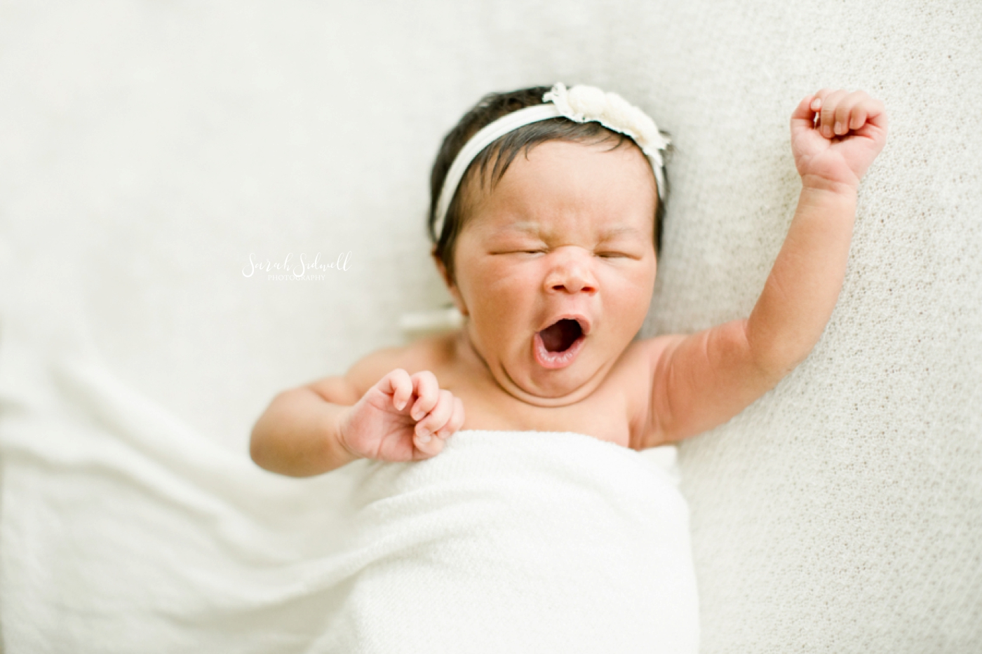 Gabriella’s Newborn Studio Session