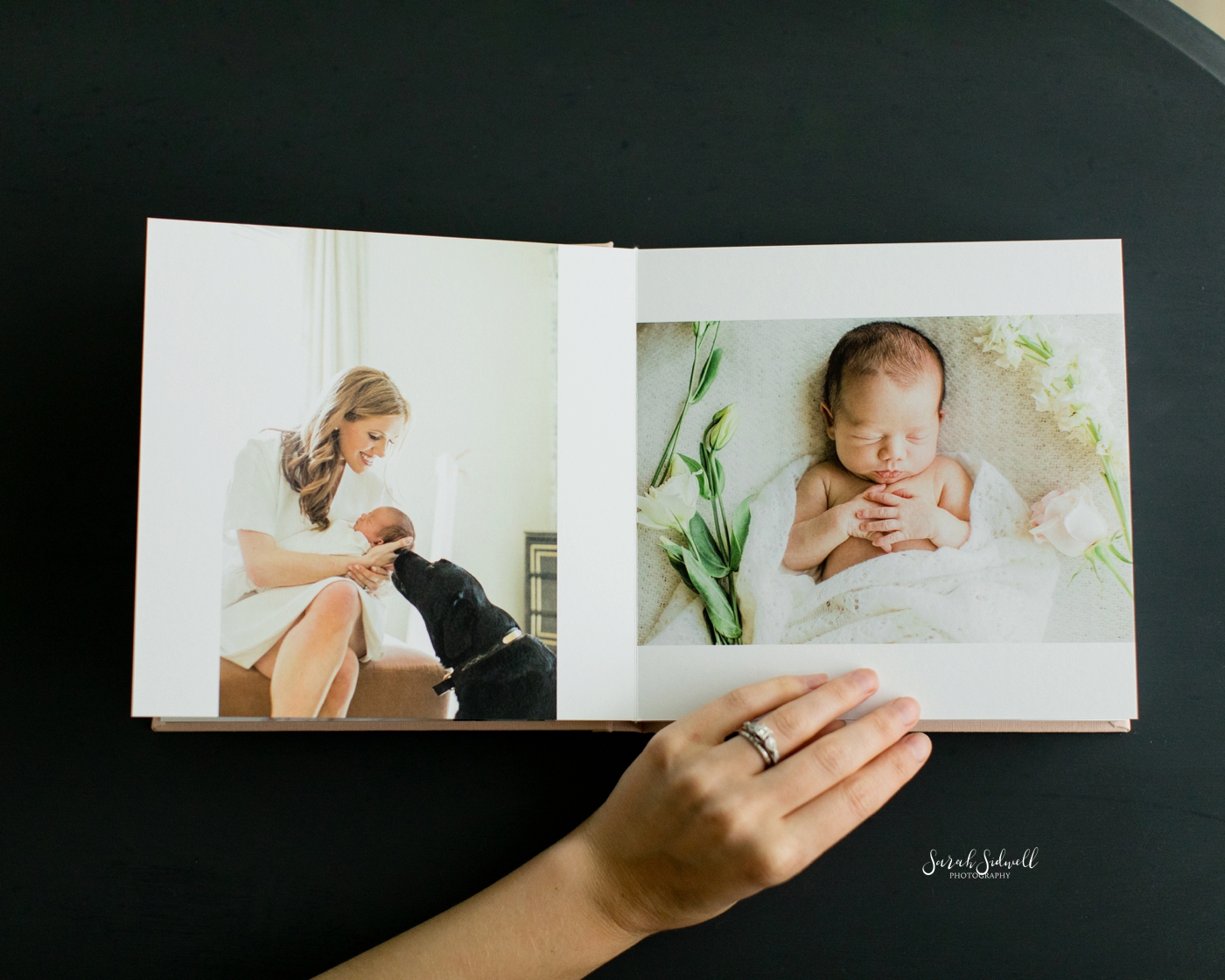Newborn Photo Album | Evelyn