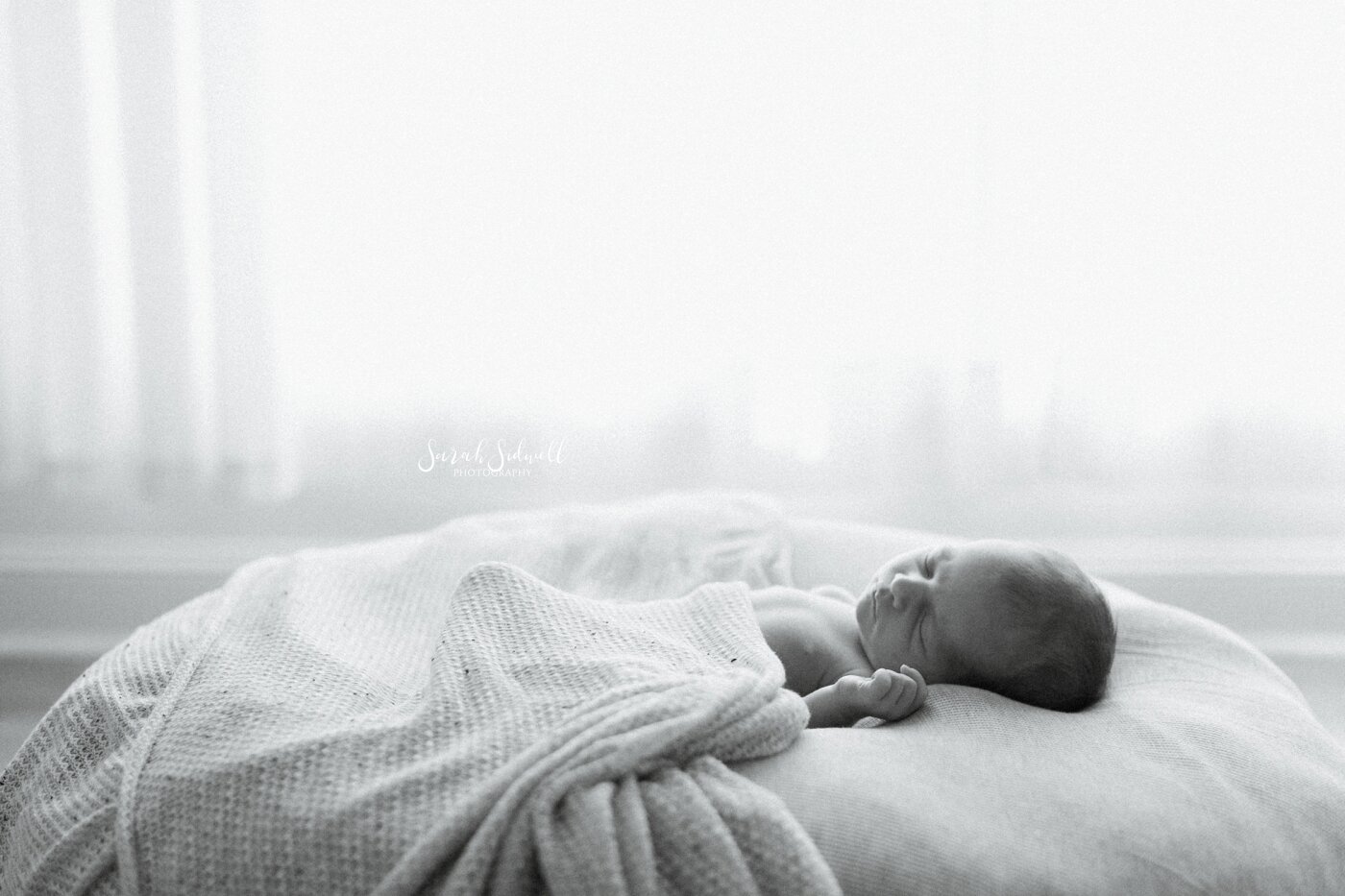 Newborn Session in the Studio | Baby Brennen