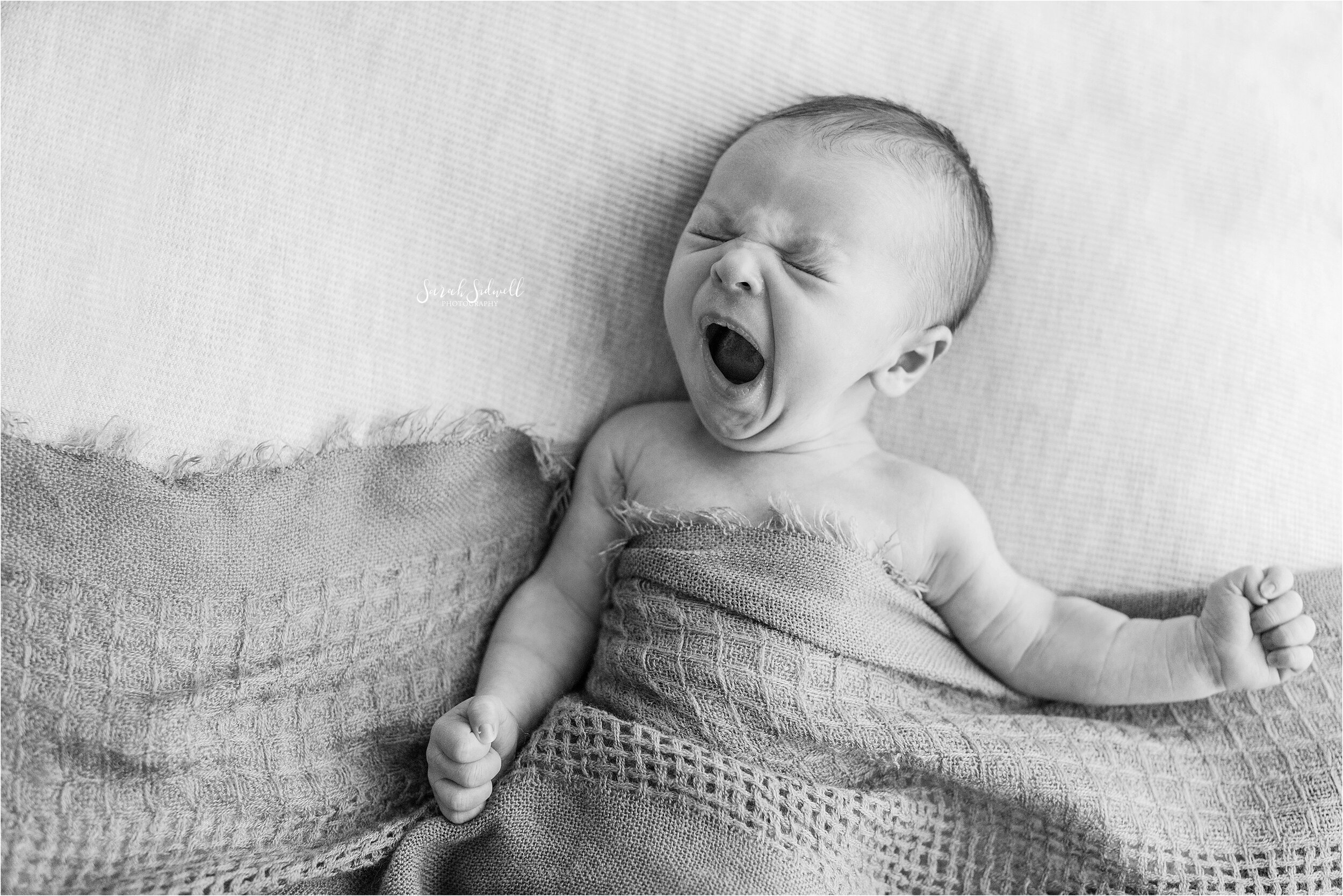Natural Newborn Photos | Baby Bode