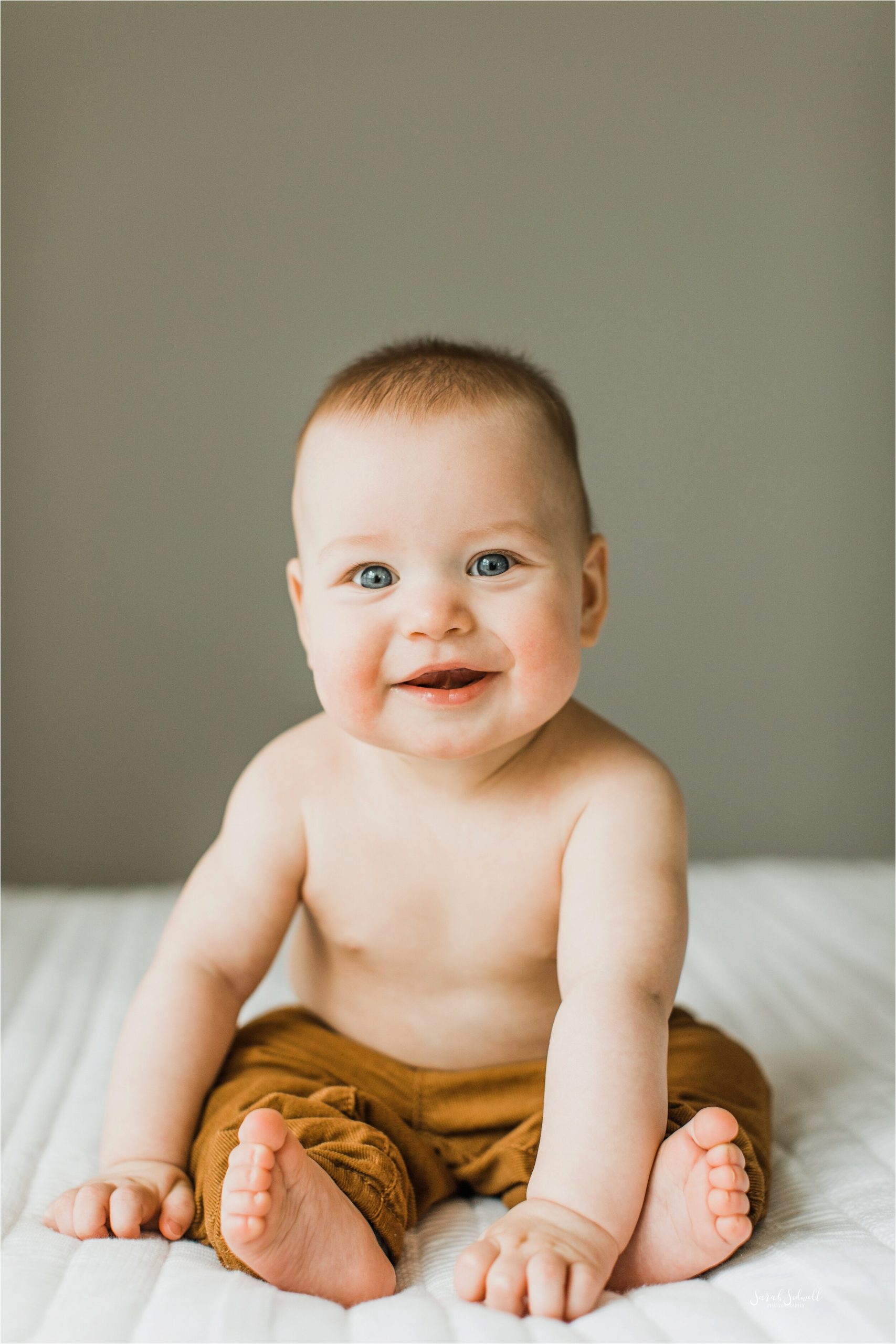 Milestone Sitter Session | Franklin Baby Photographer