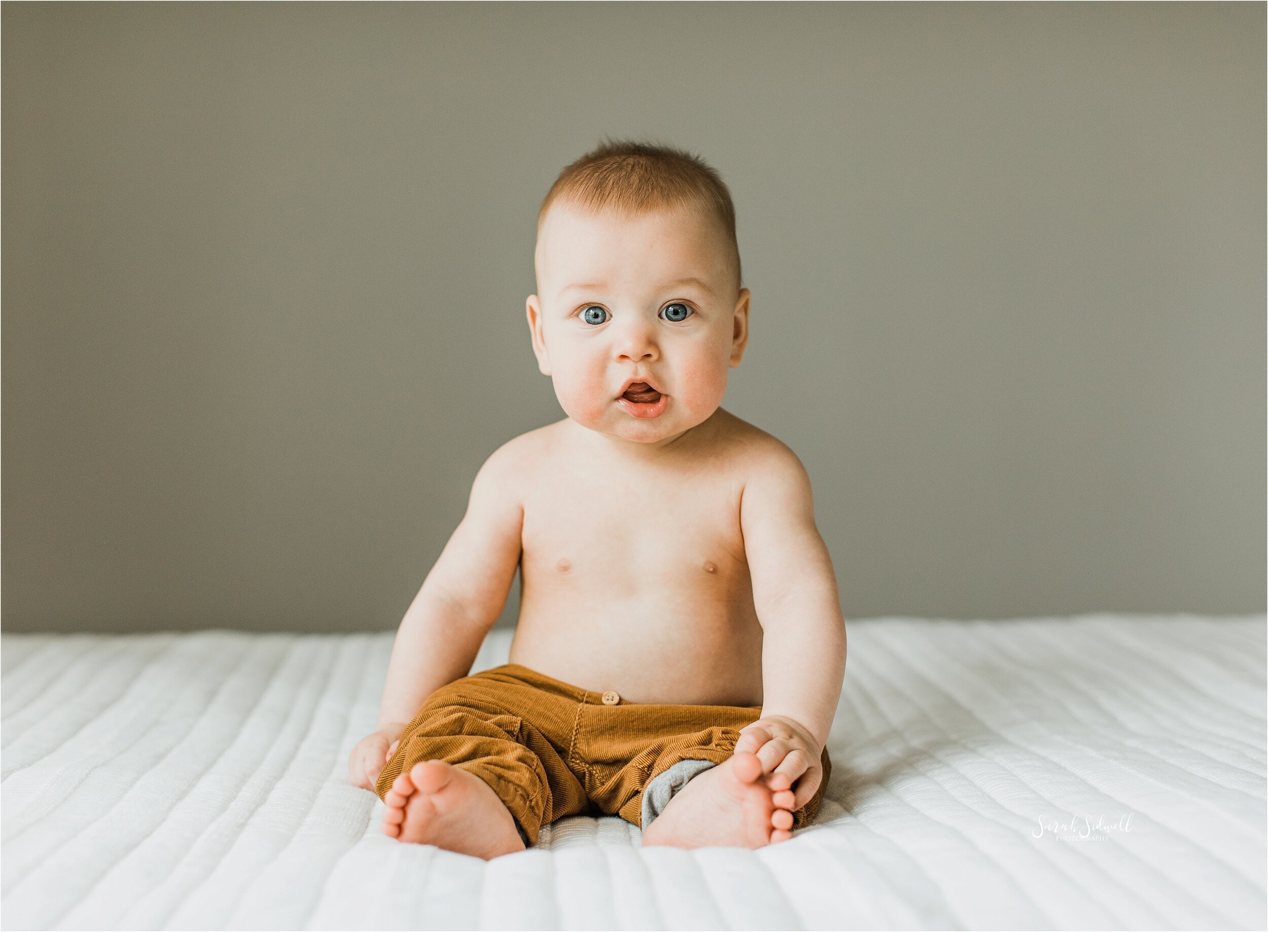 Milestone Sitter Session | Franklin Baby Photographer