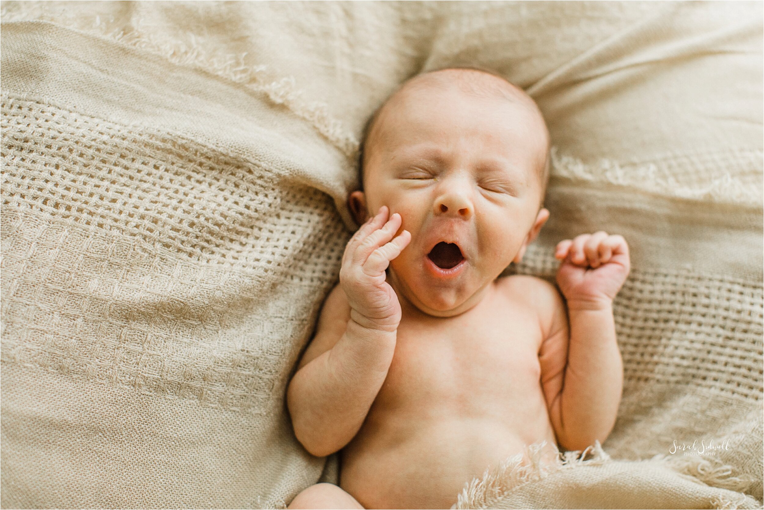 Natural Newborn Photos | Lucas