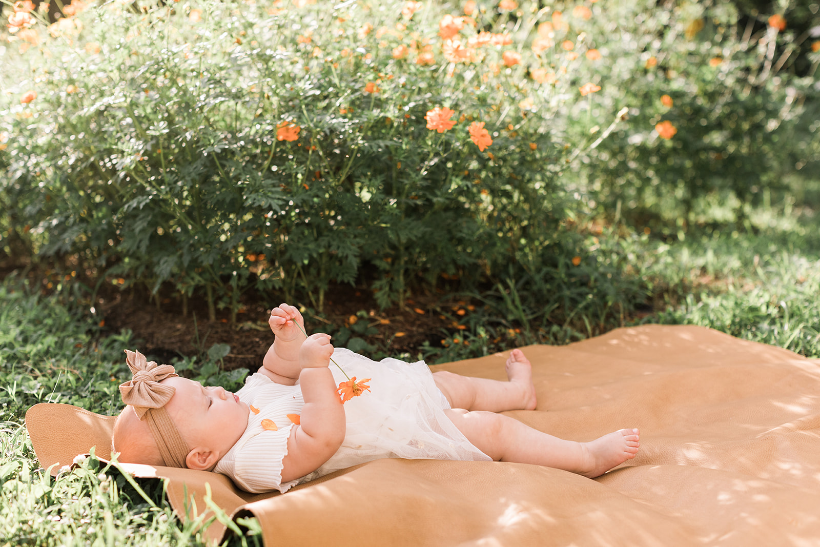 Nashville baby photographer. Baby girl outdoors in floral garden.