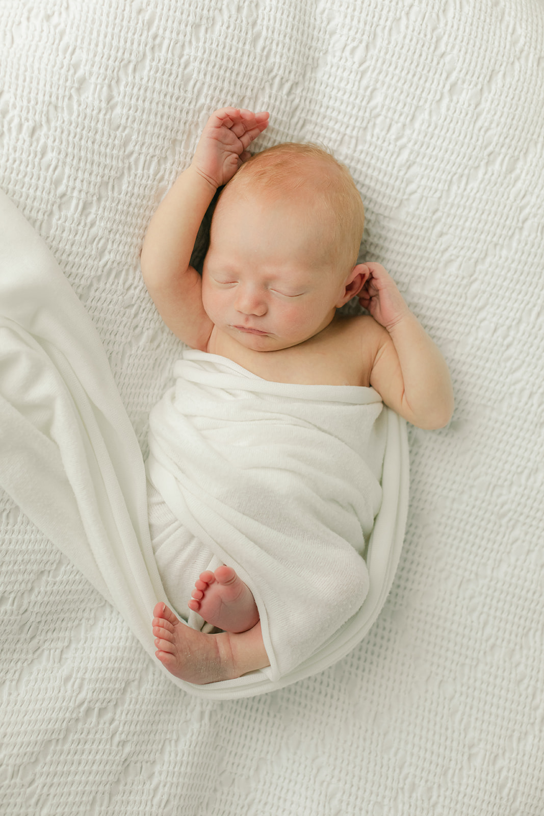 newborn baby session in nashville tennessee