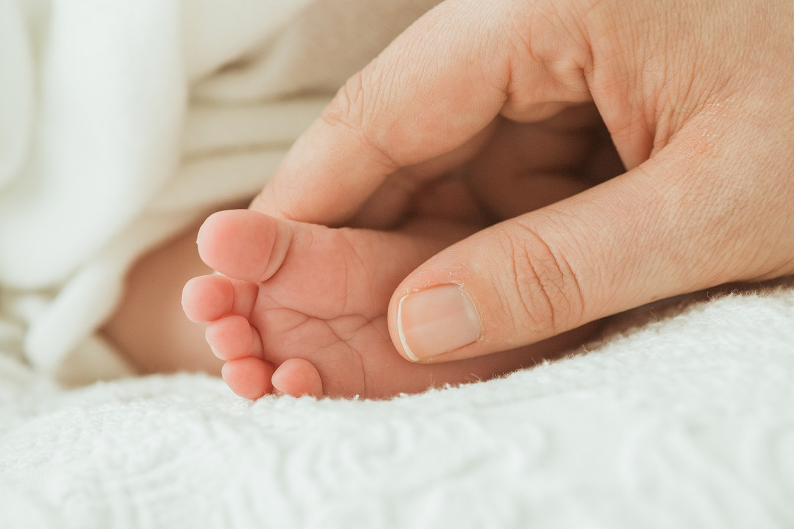 nashville newborn session. baby feet