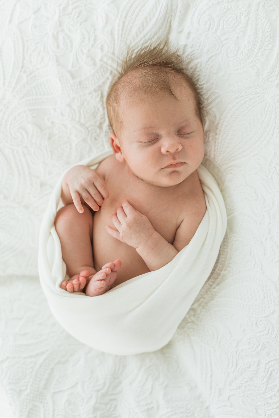 nashville newborn session. photo of newborn baby girl