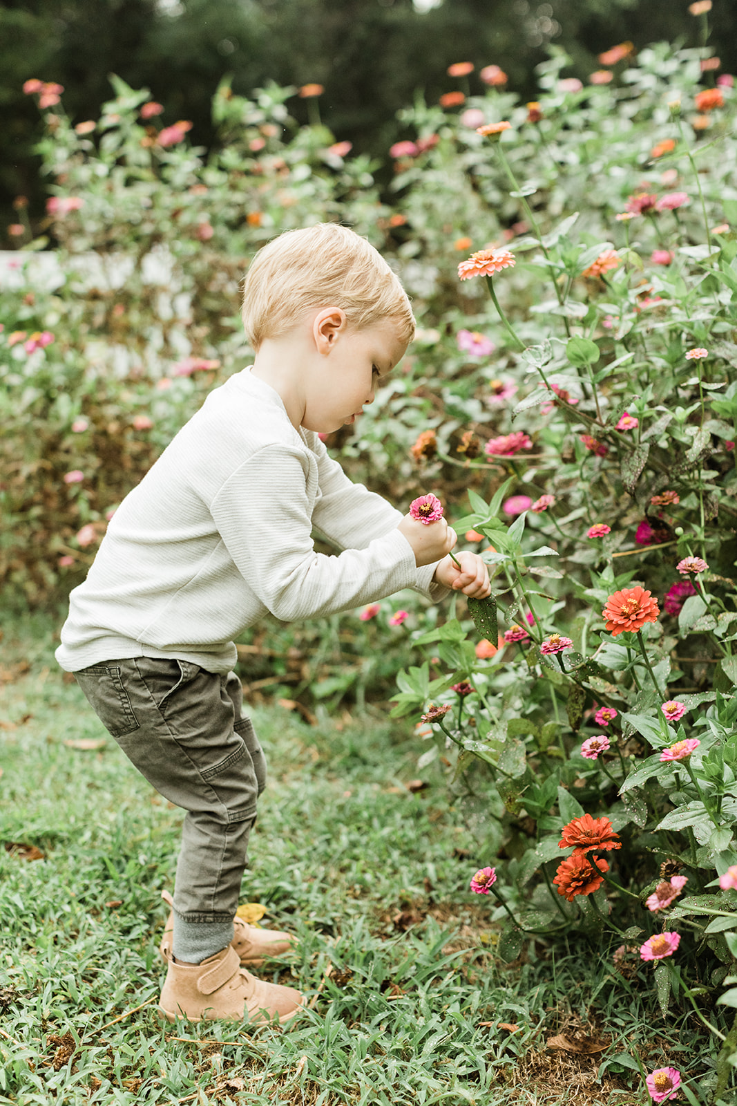 outdoor family session in nashville tennessee. little boy in flower garden