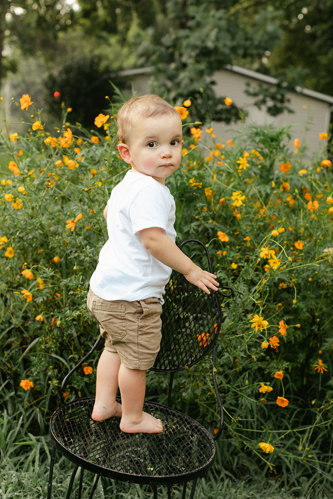 outdoor motherhood minis in garden. photographed in nashville photographer. little boy in garden