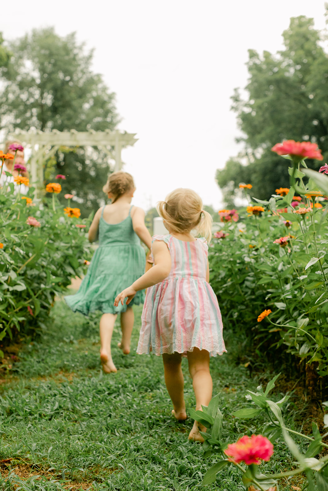 outdoor motherhood minis in garden. photographed in nashville photographer. two sisters in garden