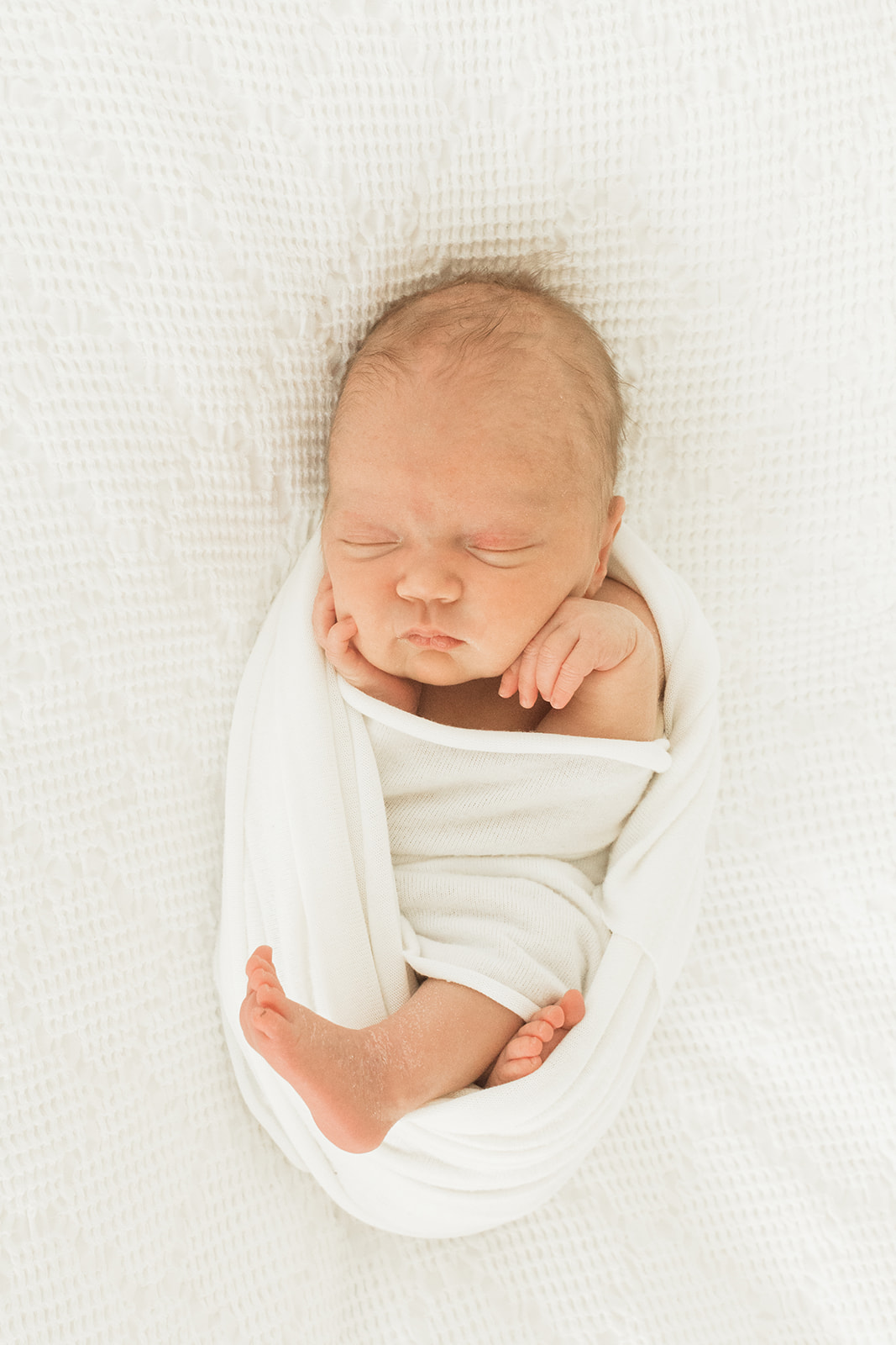 baby Charolette's newborn session in Nashville, Tennessee