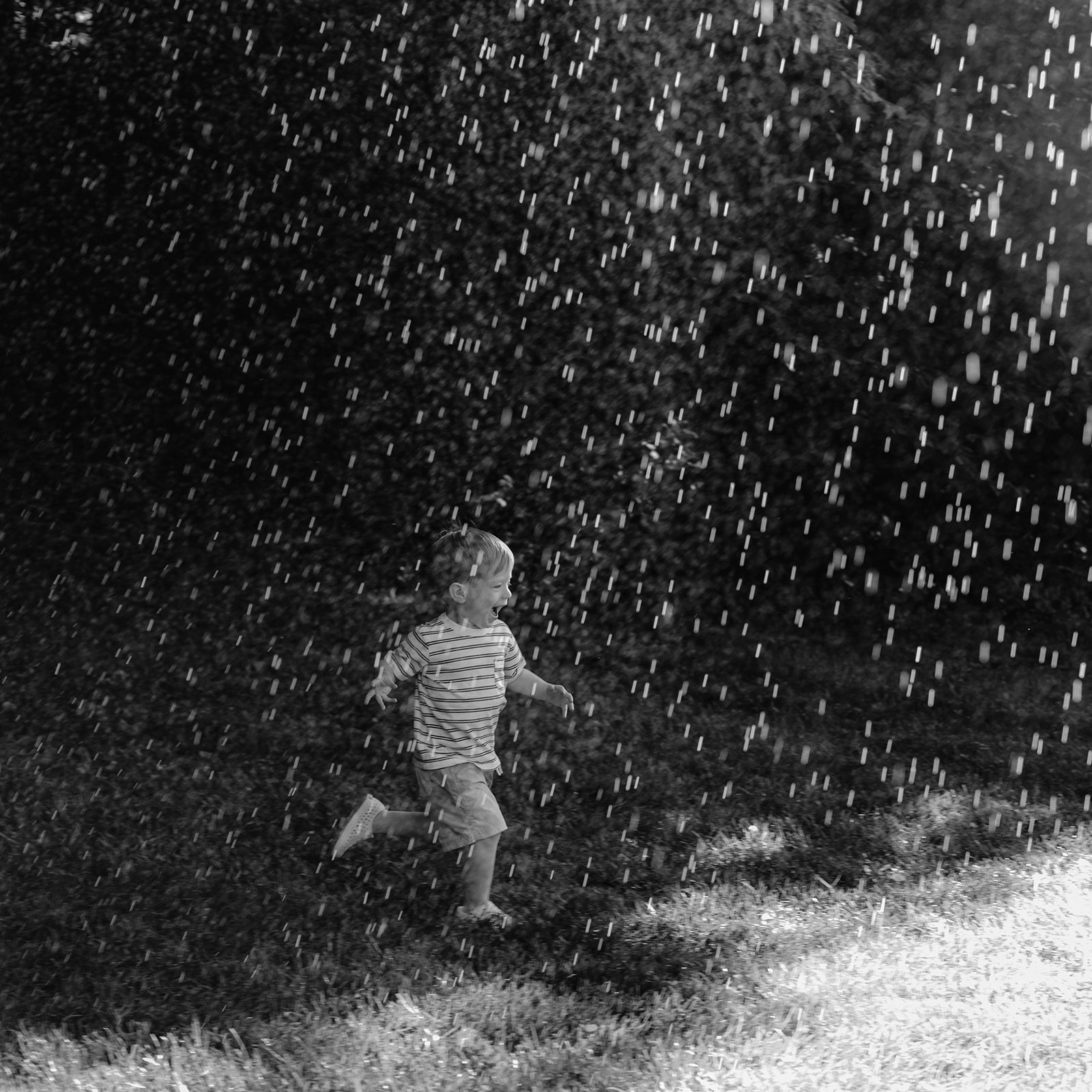 Little boy running through sprinklers. Backyard summer family session in Nashville, TN