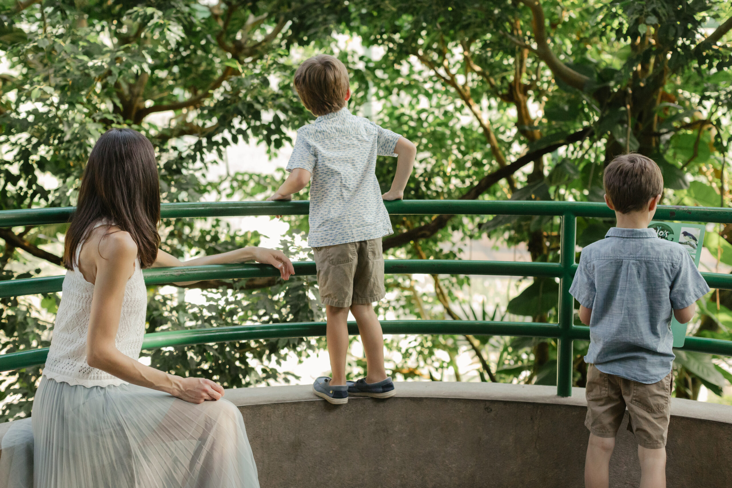 Mama with her two boys. Family photos at the Zoo