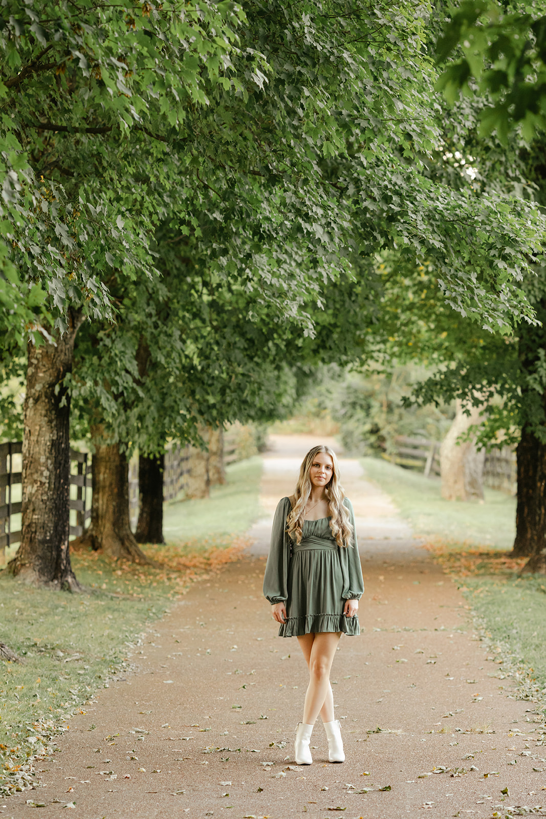 golden hour senior photos in tree lined path