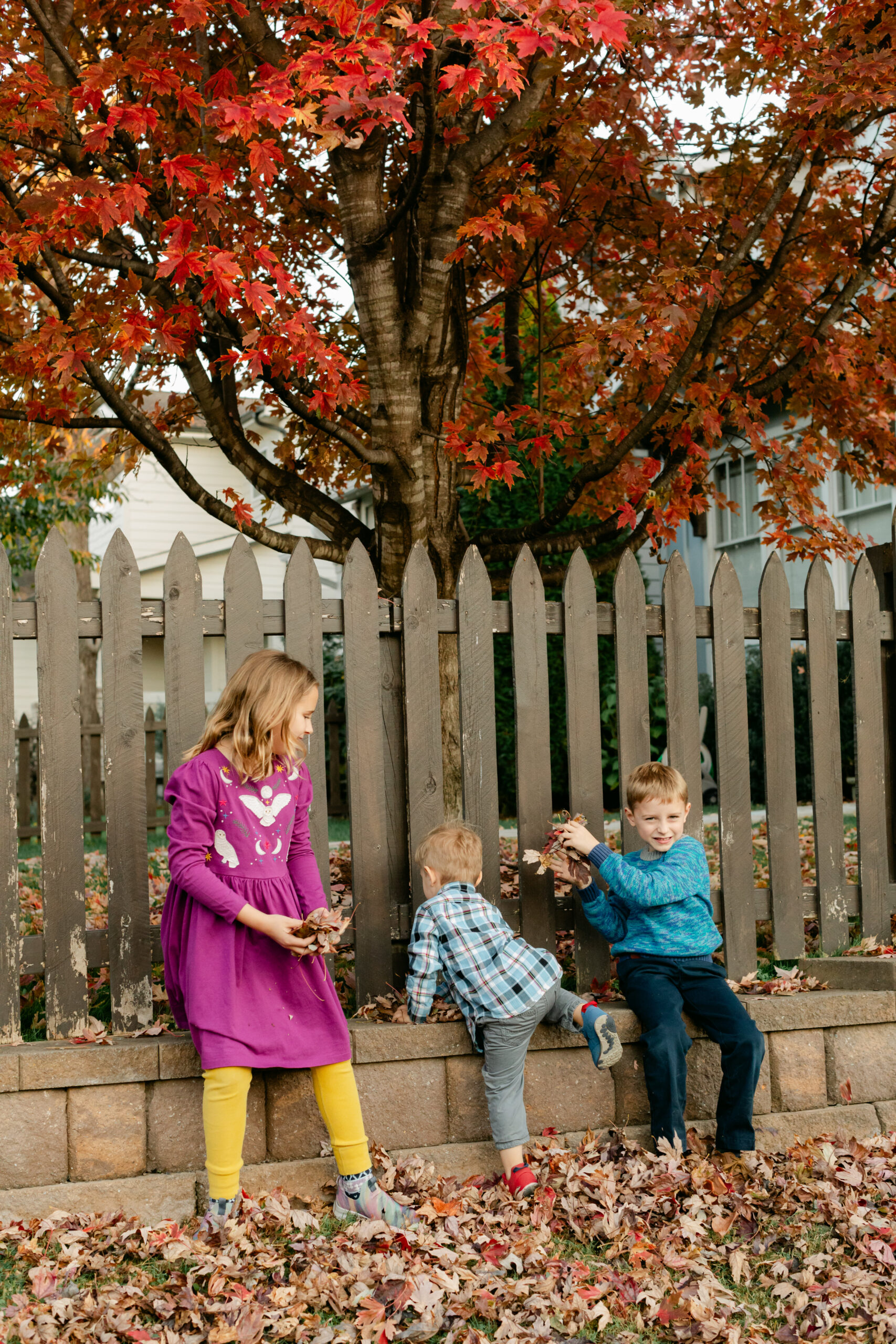 fall family photos in family home