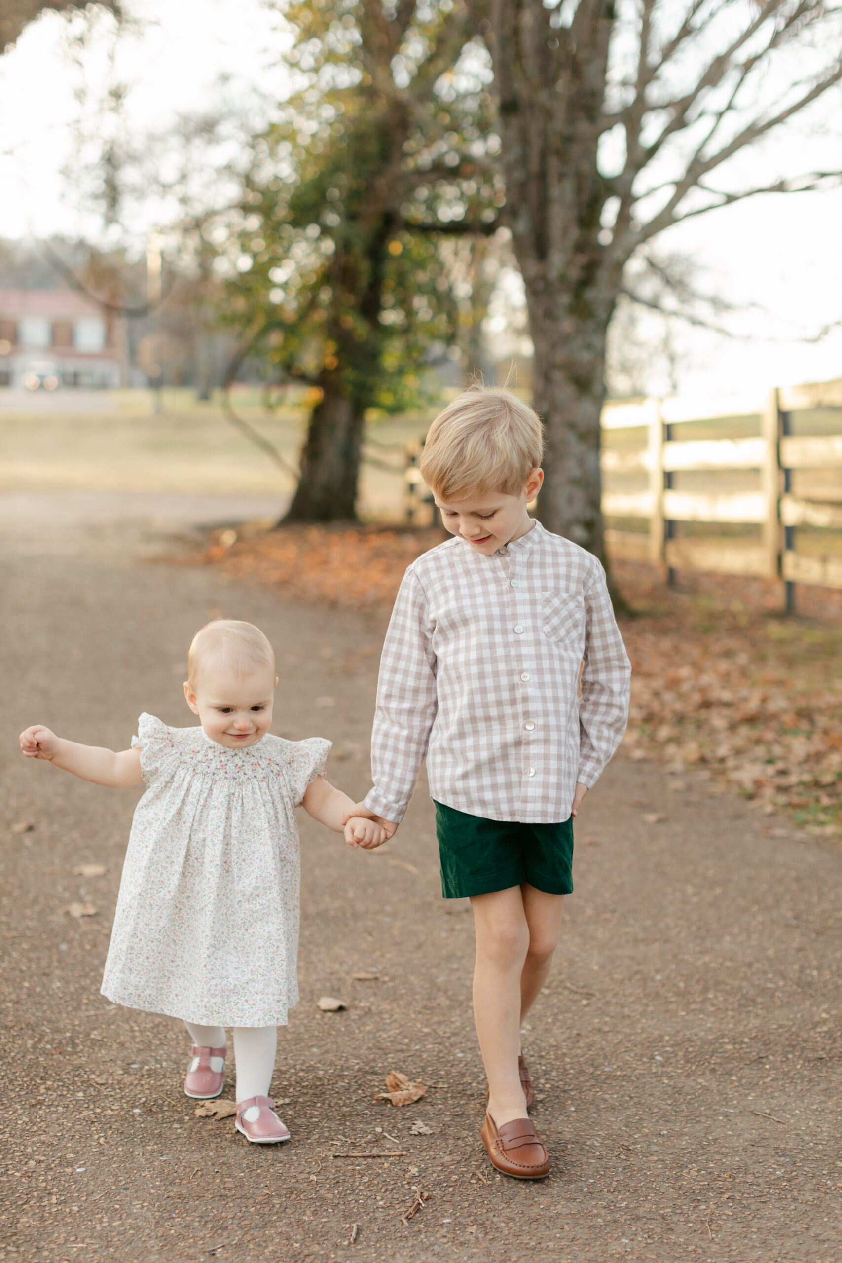 siblings holding hands walking through path during fall family photos