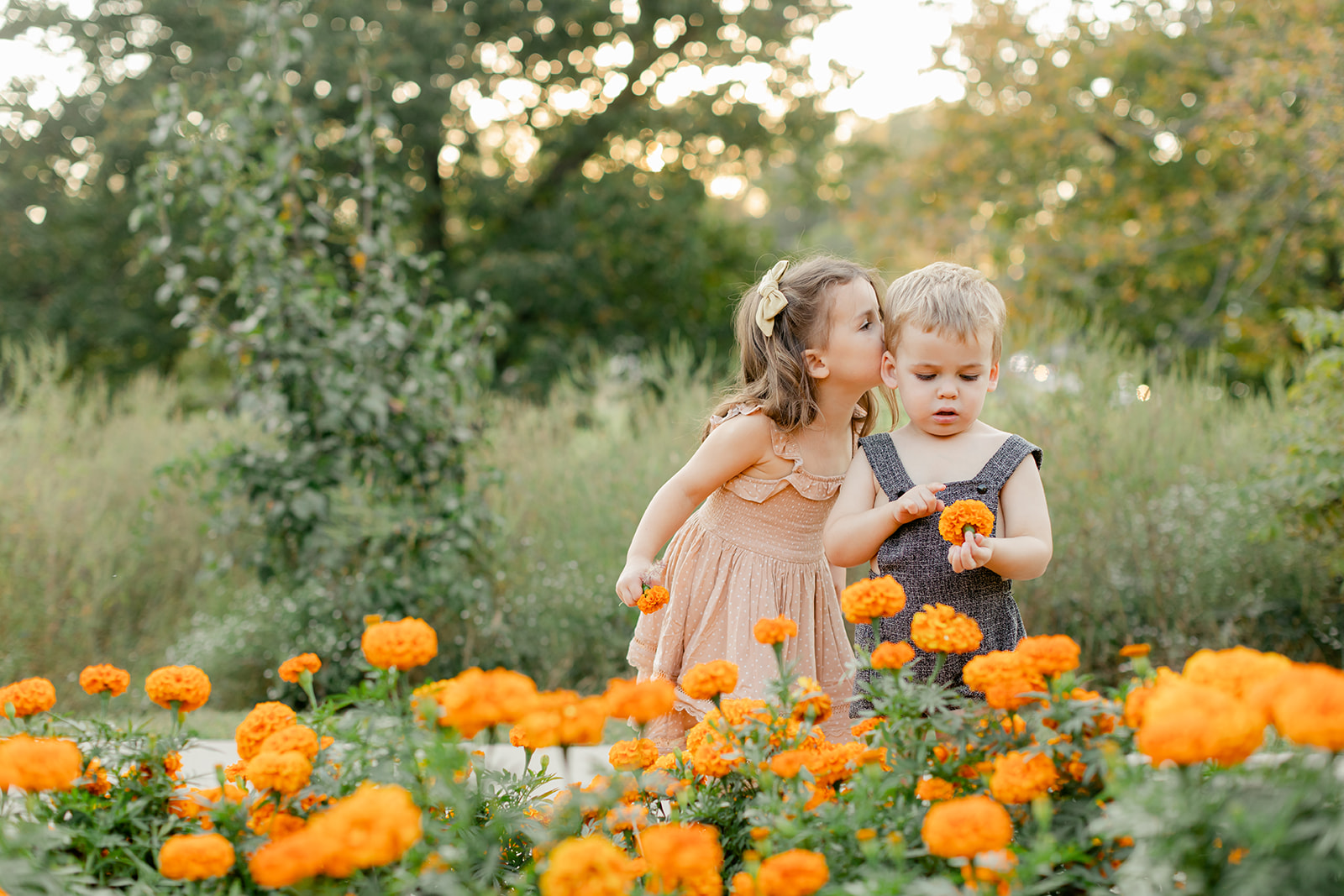 fall family photos at the art barn. two young siblings (little boy, little girl)