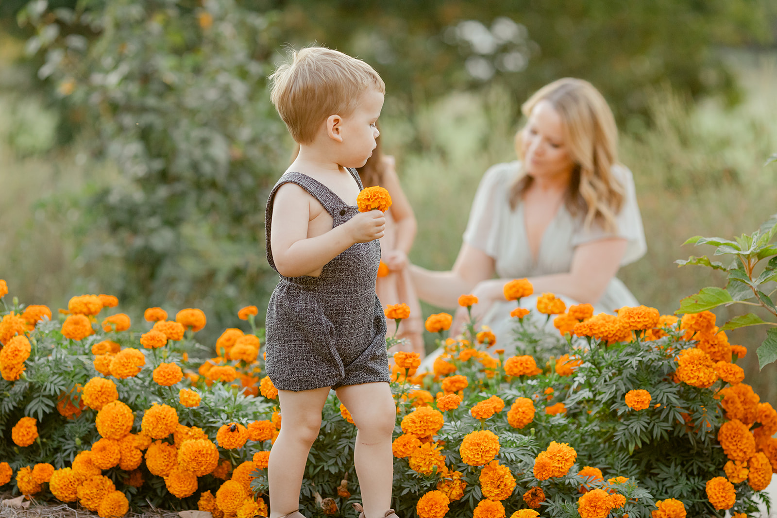 fall family photos at the art barn. mama with her two young kids (little boy, little girl)