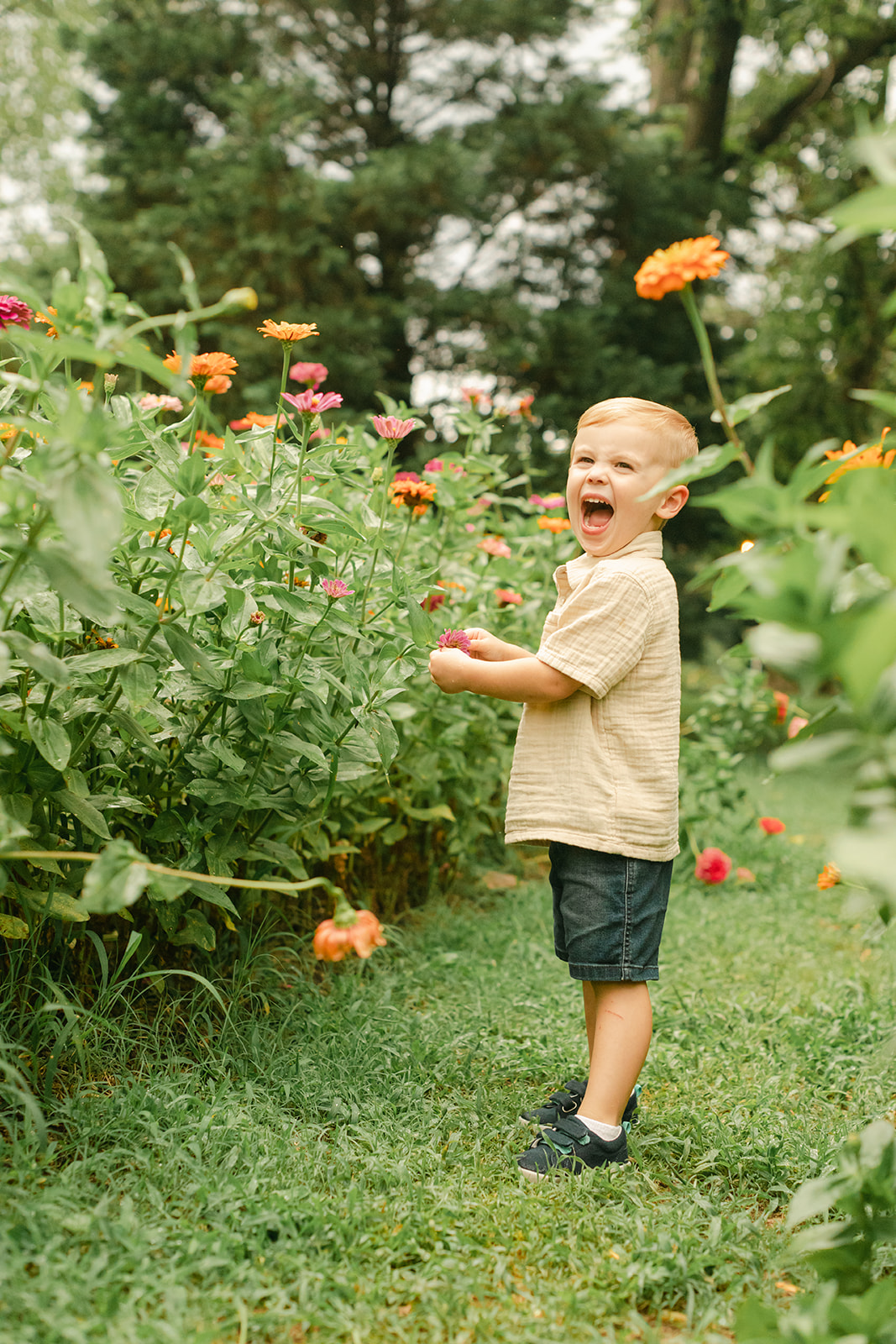 toddler boy in garden during motherhood minis