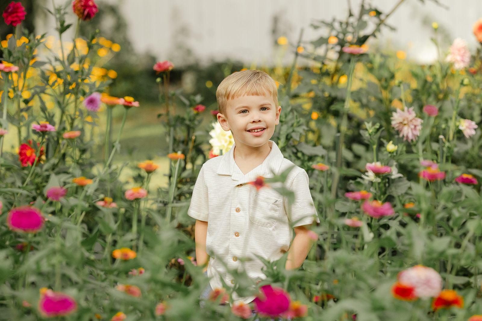 toddler boy in garden during motherhood minis