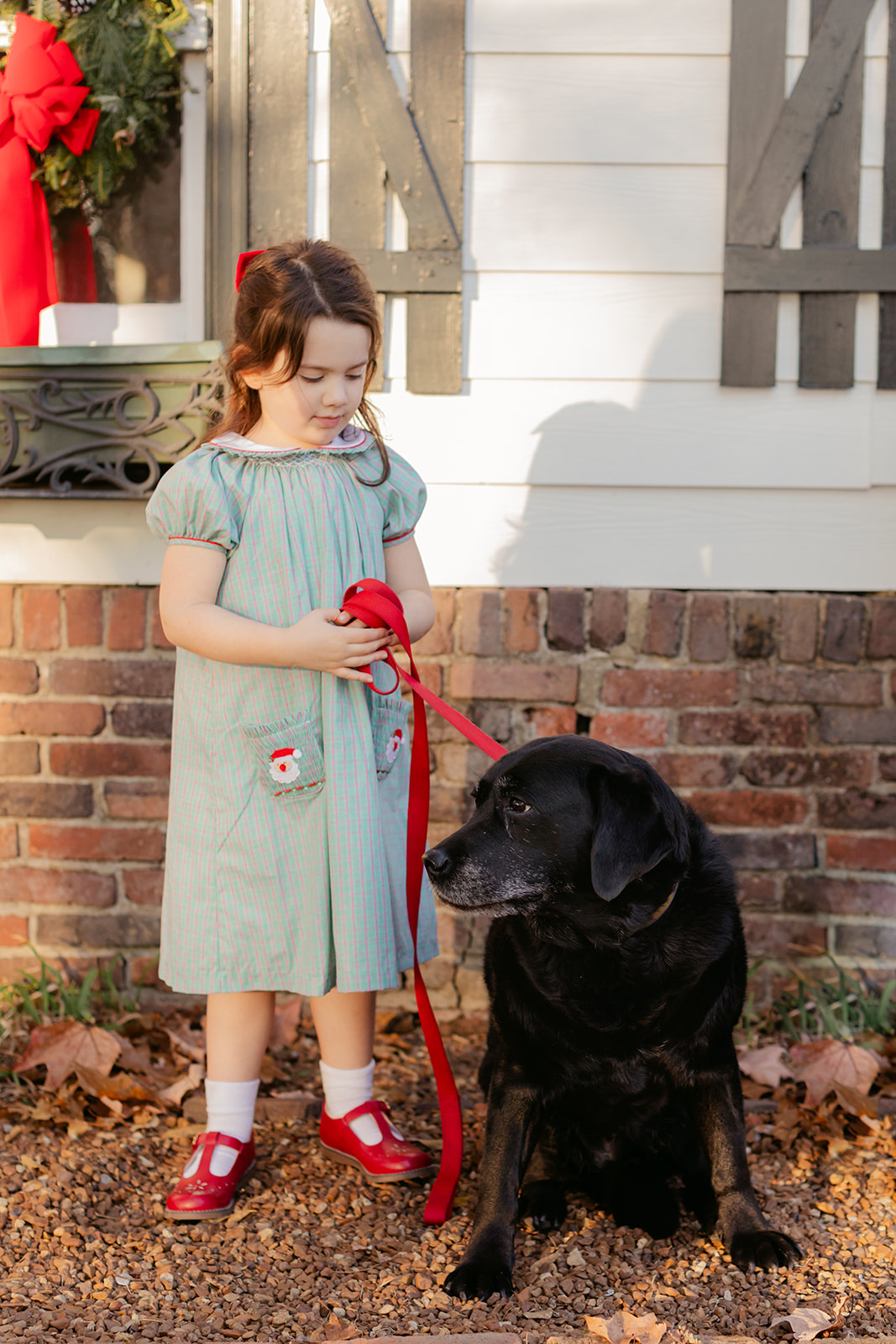 little girl with black lab. christmas family photos in front of home