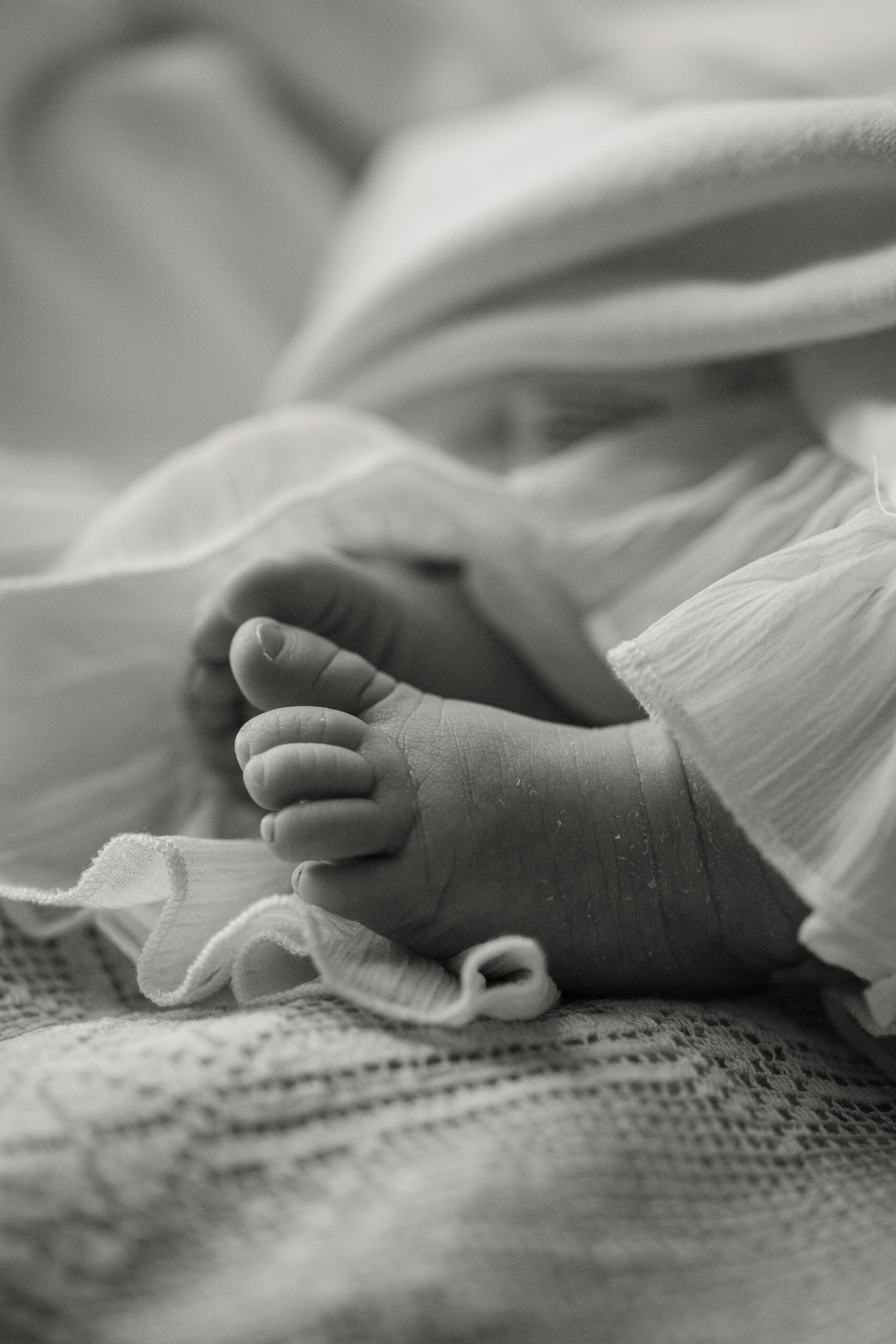 black and white photo of newborn baby girl's feet