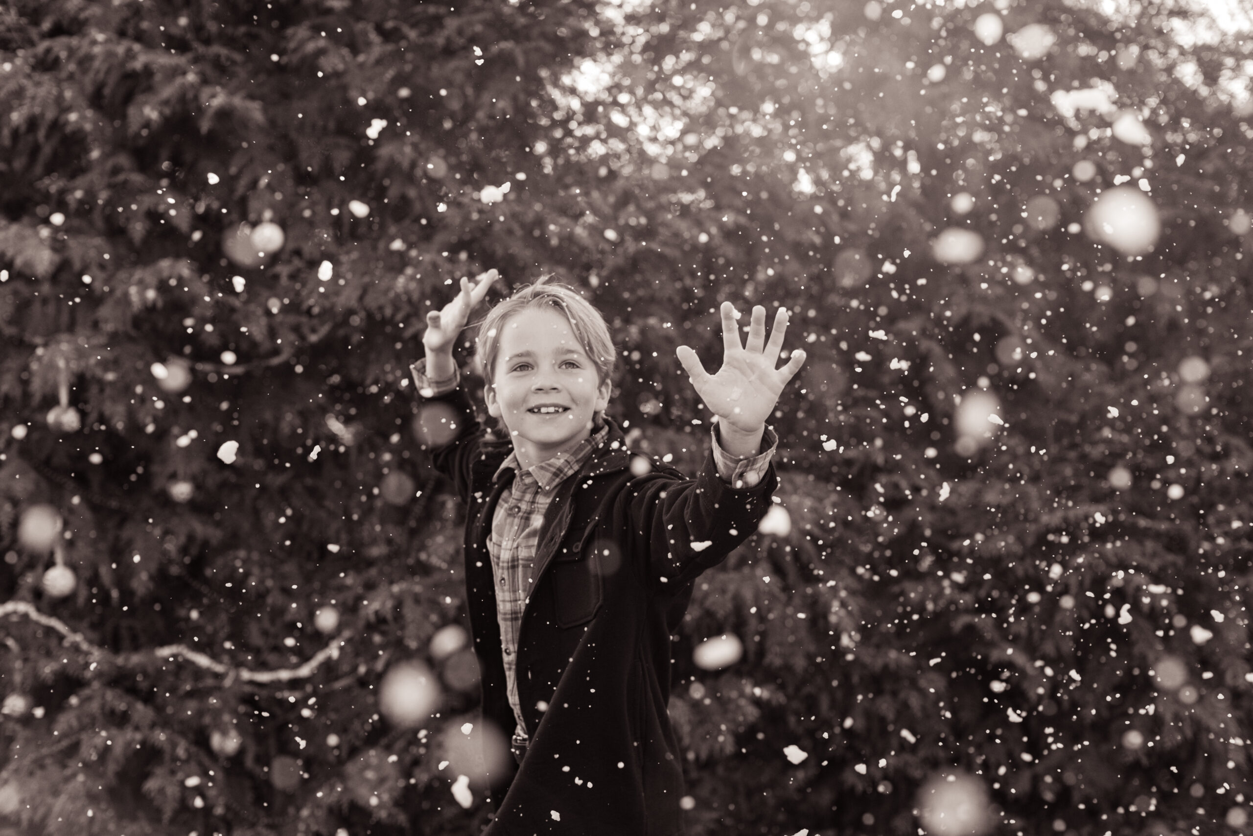 young boy playing with snow.  christmas themed family photos in tennessee with fake snow