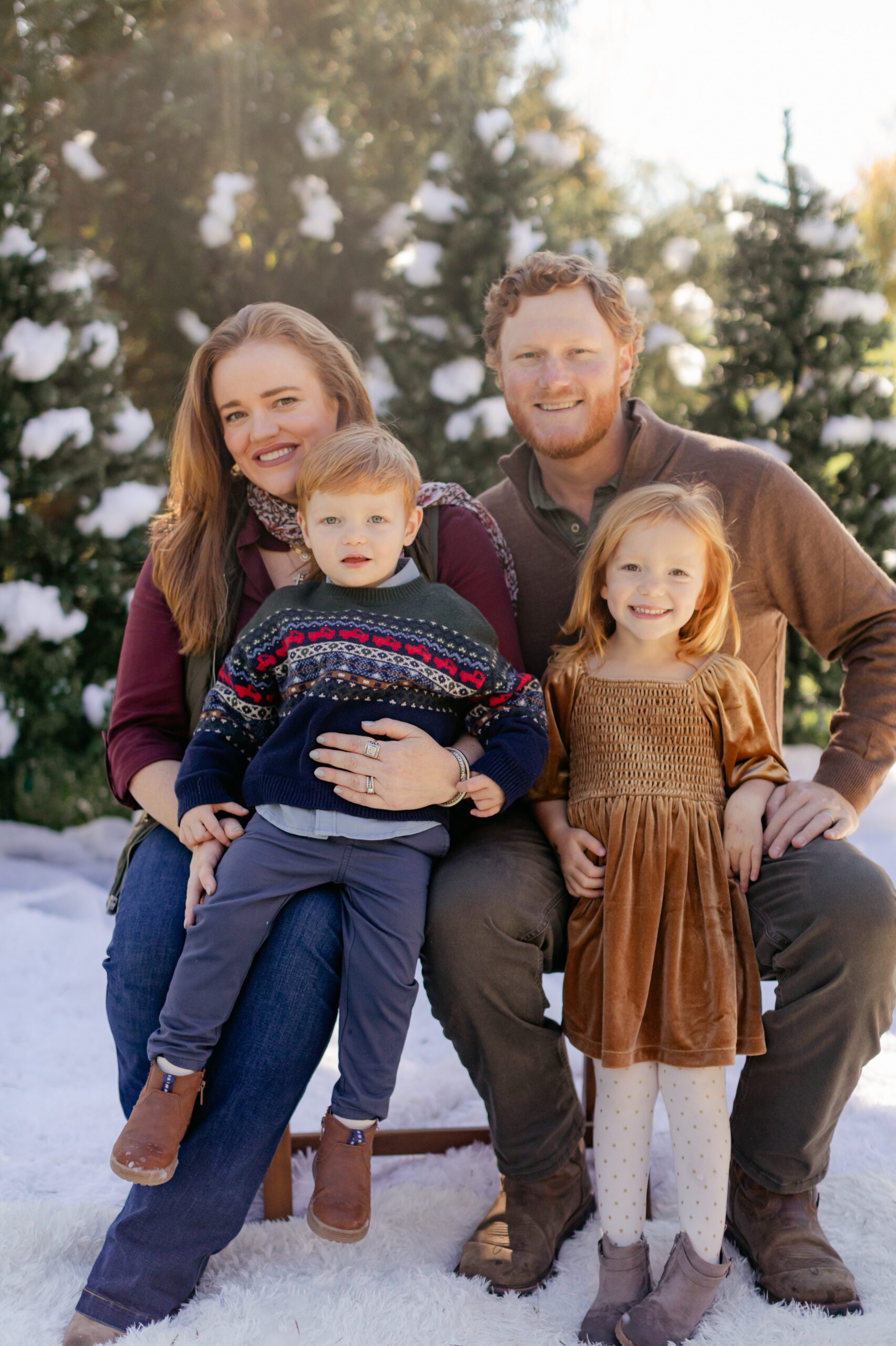 snowy christmas family photos