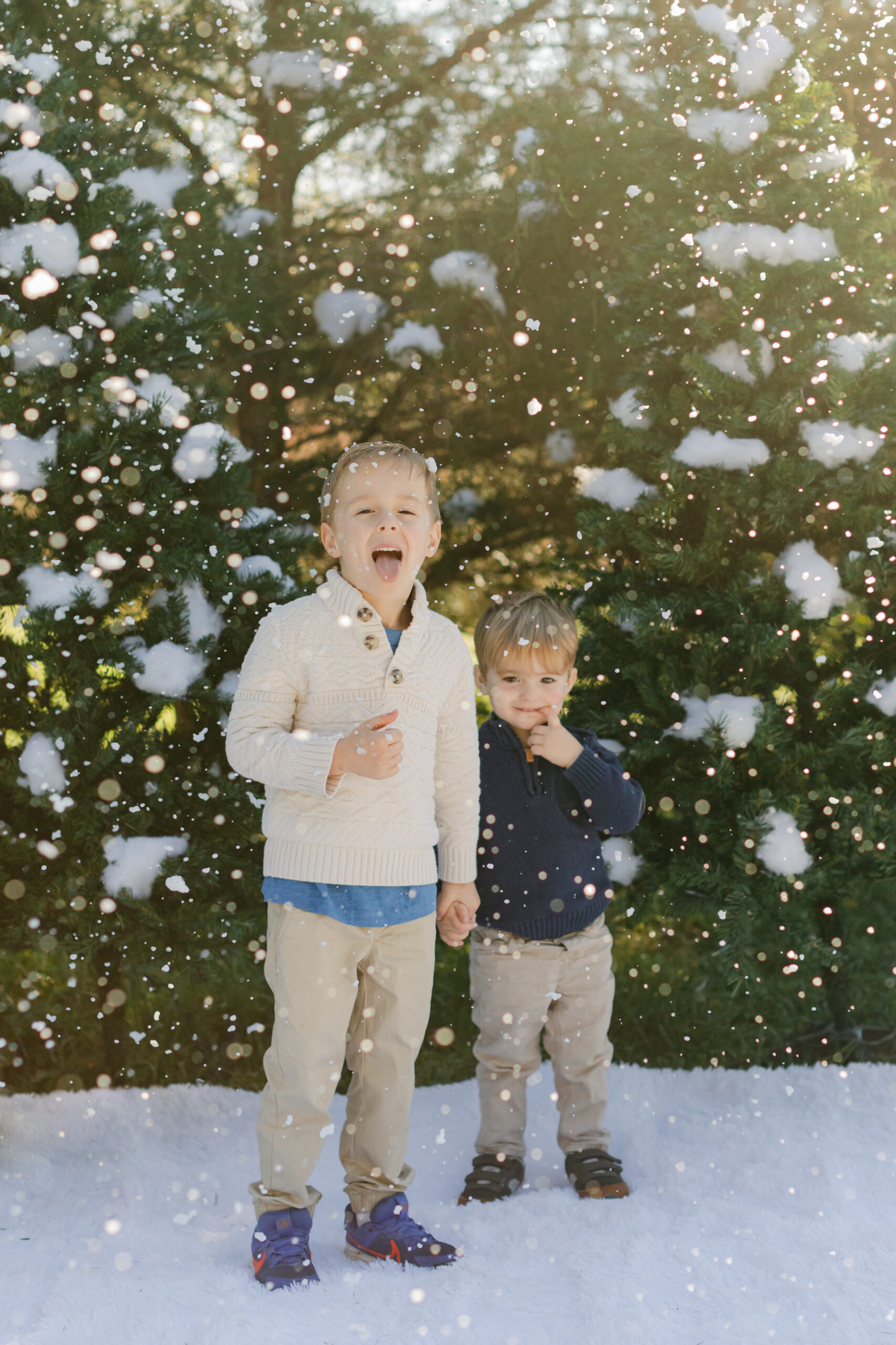 two little brothers. snowy christmas family photos